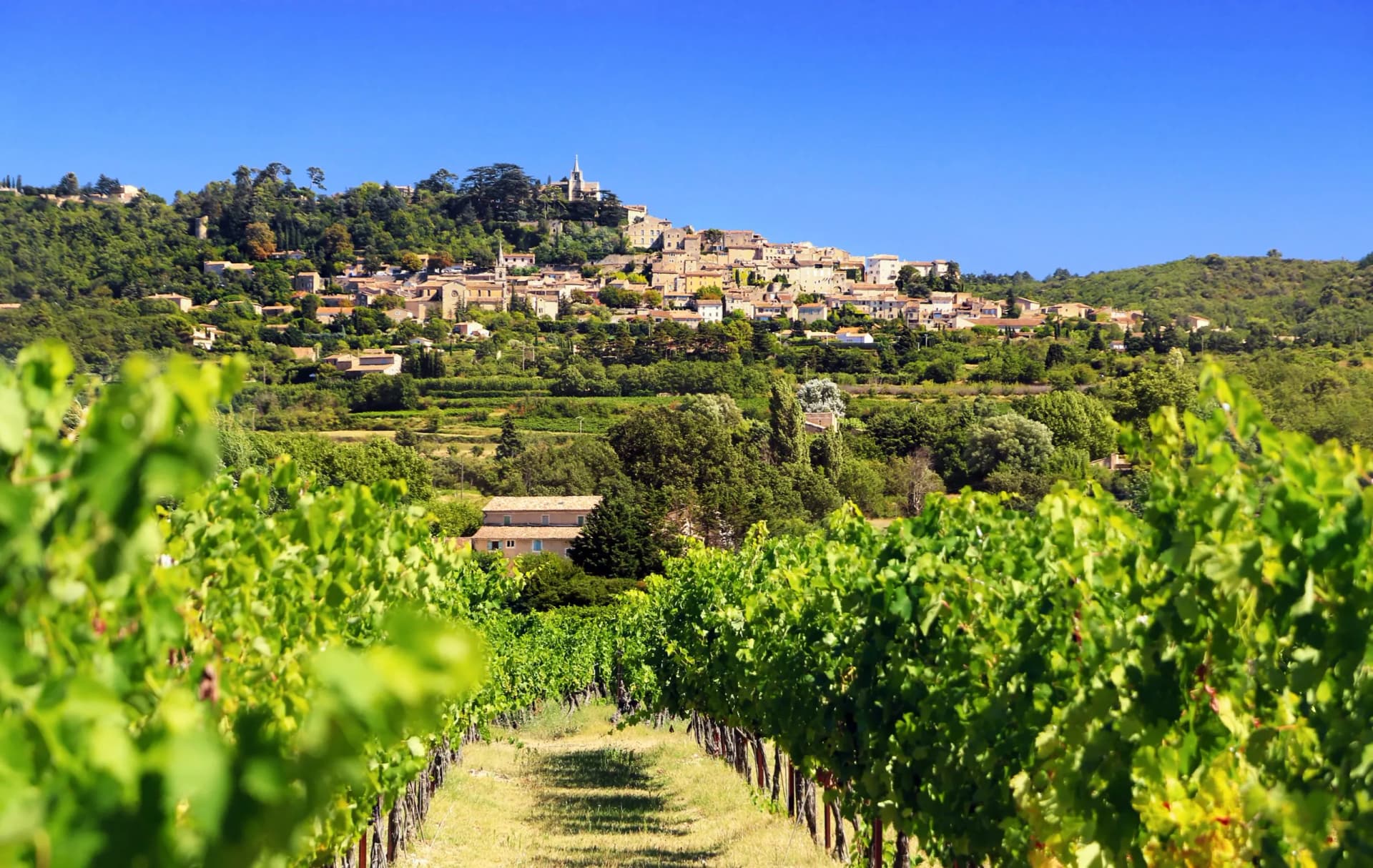 Vineyard rows lead to the hilltop village of Bonnieux in the Luberon region under a clear blue sky.