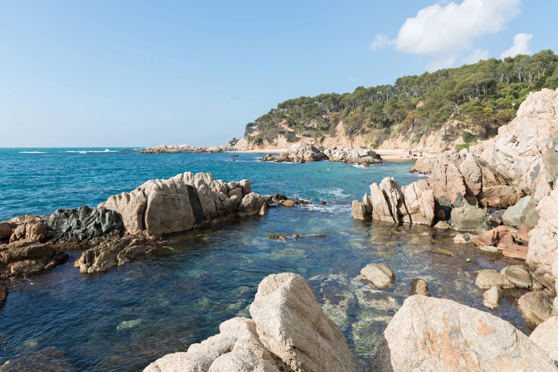 Rocky inlet with clear turquoise water, pine-covered cliffs, and a small beach in Costa Brava, Girona, Spain.