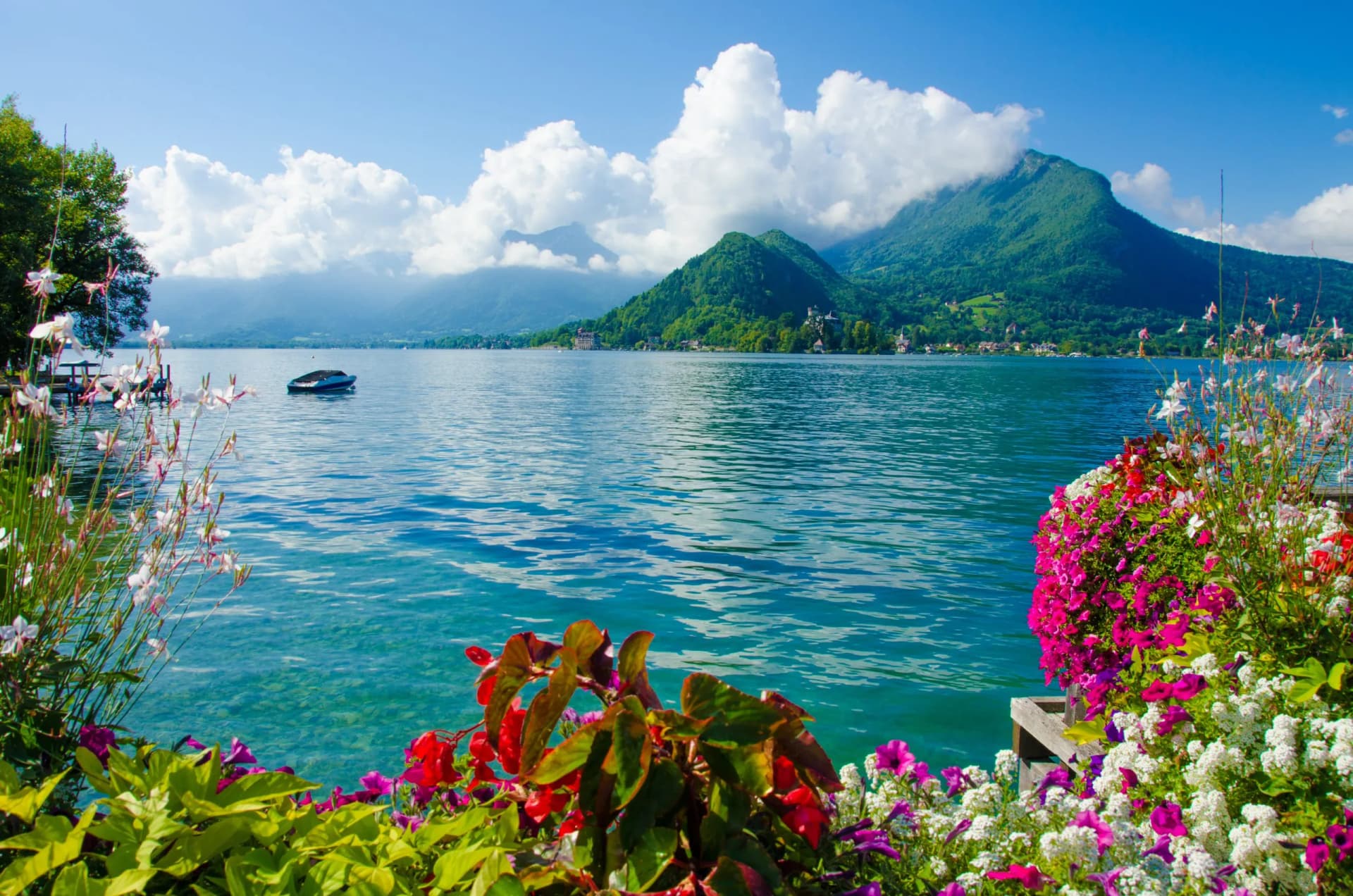 Flowers frame clear blue water of Lake Annecy with mountains and boat in background.