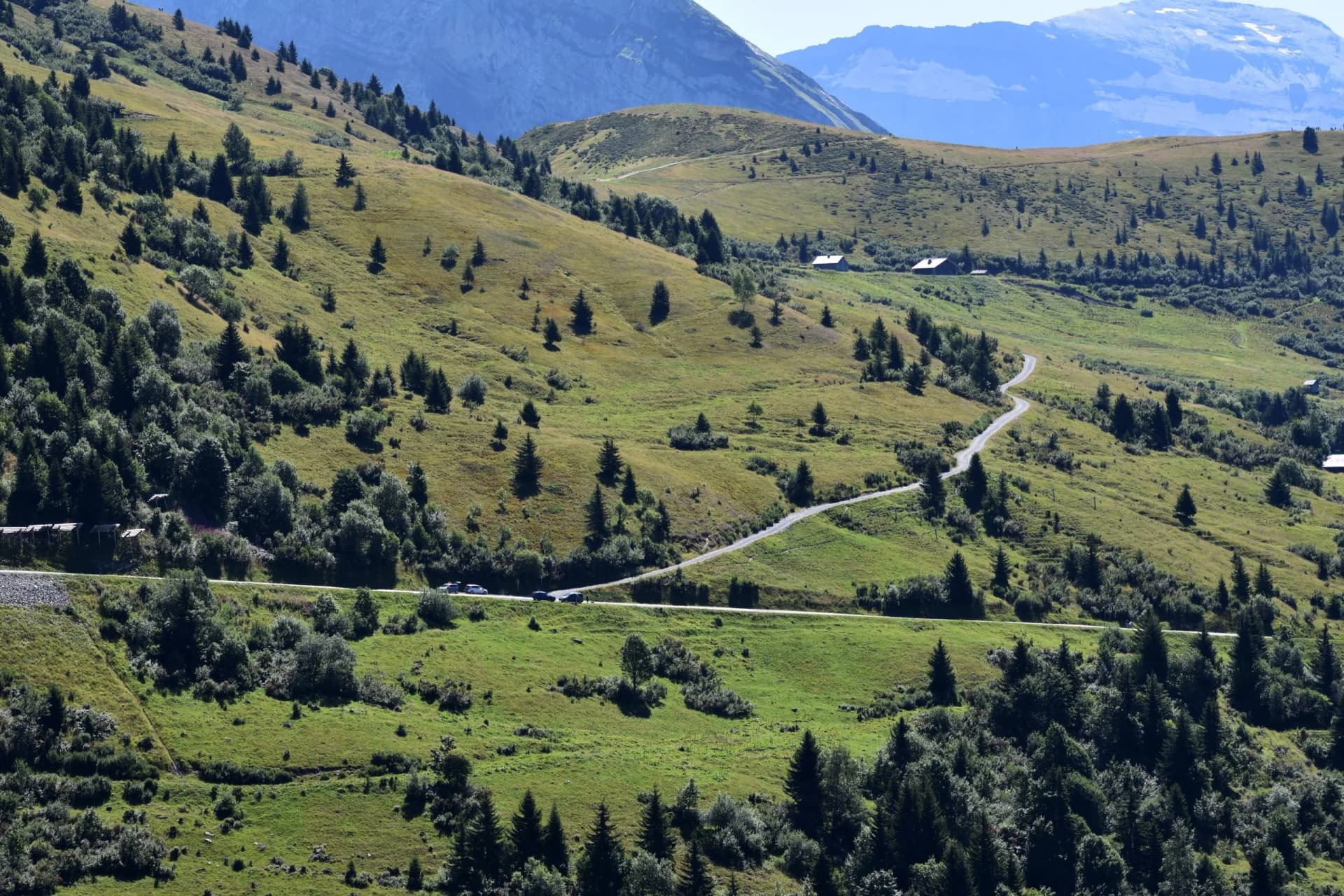 Winding mountain road through green alpine meadows with scattered trees and distant peaks