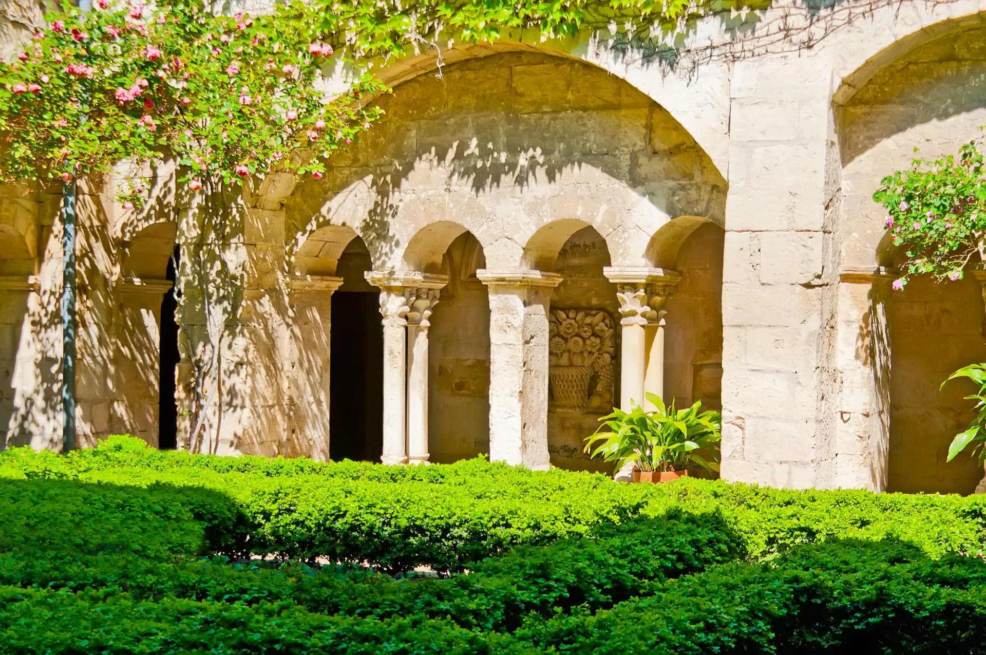 Arches of Saint-Paul-de-Mausole cloister with sunlit stone walls and green manicured hedges.