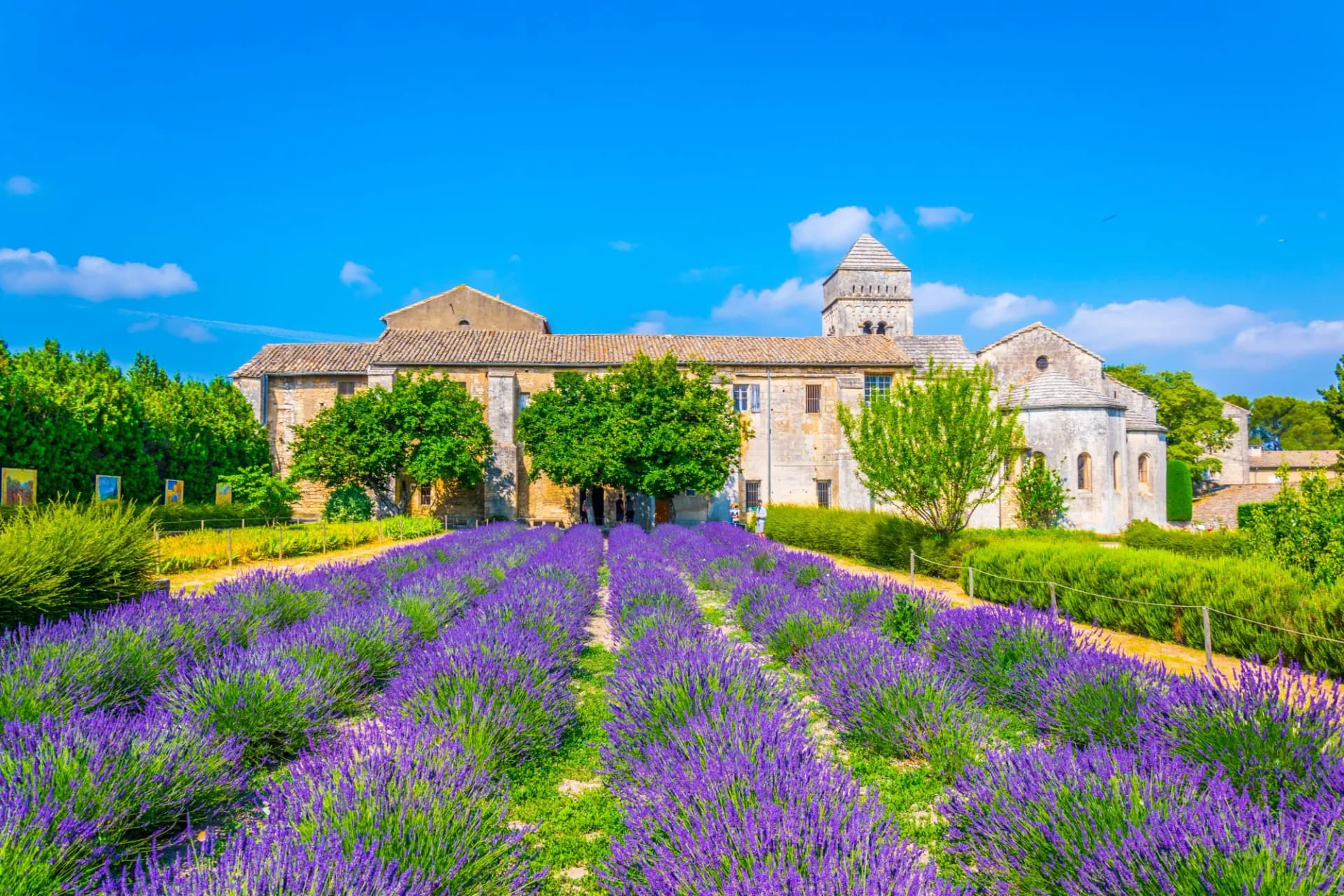 Lavender field in bloom in front of Saint-Paul-de-Mausole monastery under a blue sky.
