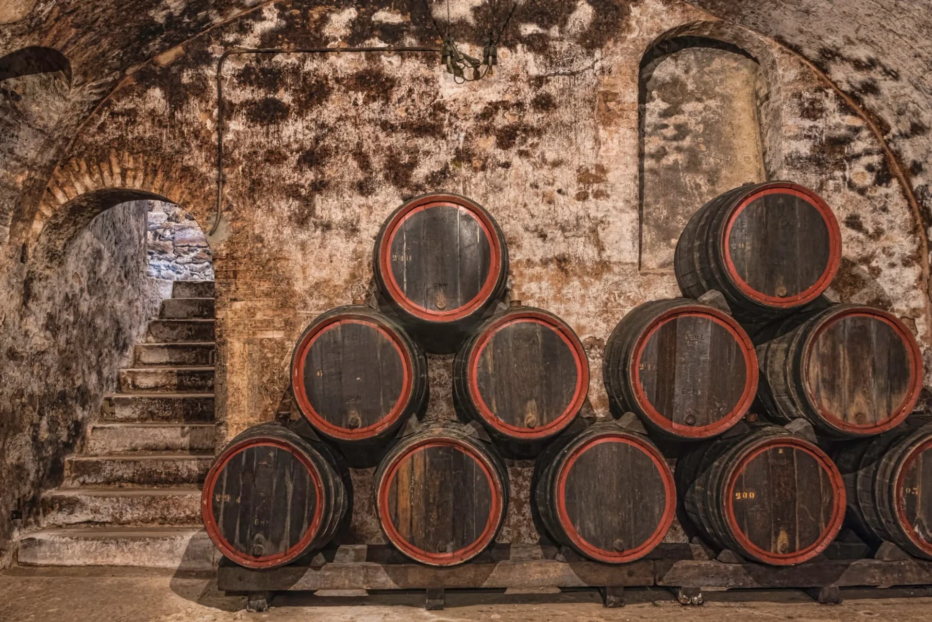 Wine barrels stacked in a damp, historic cellar with stone steps leading up to an archway in Hautvillers.