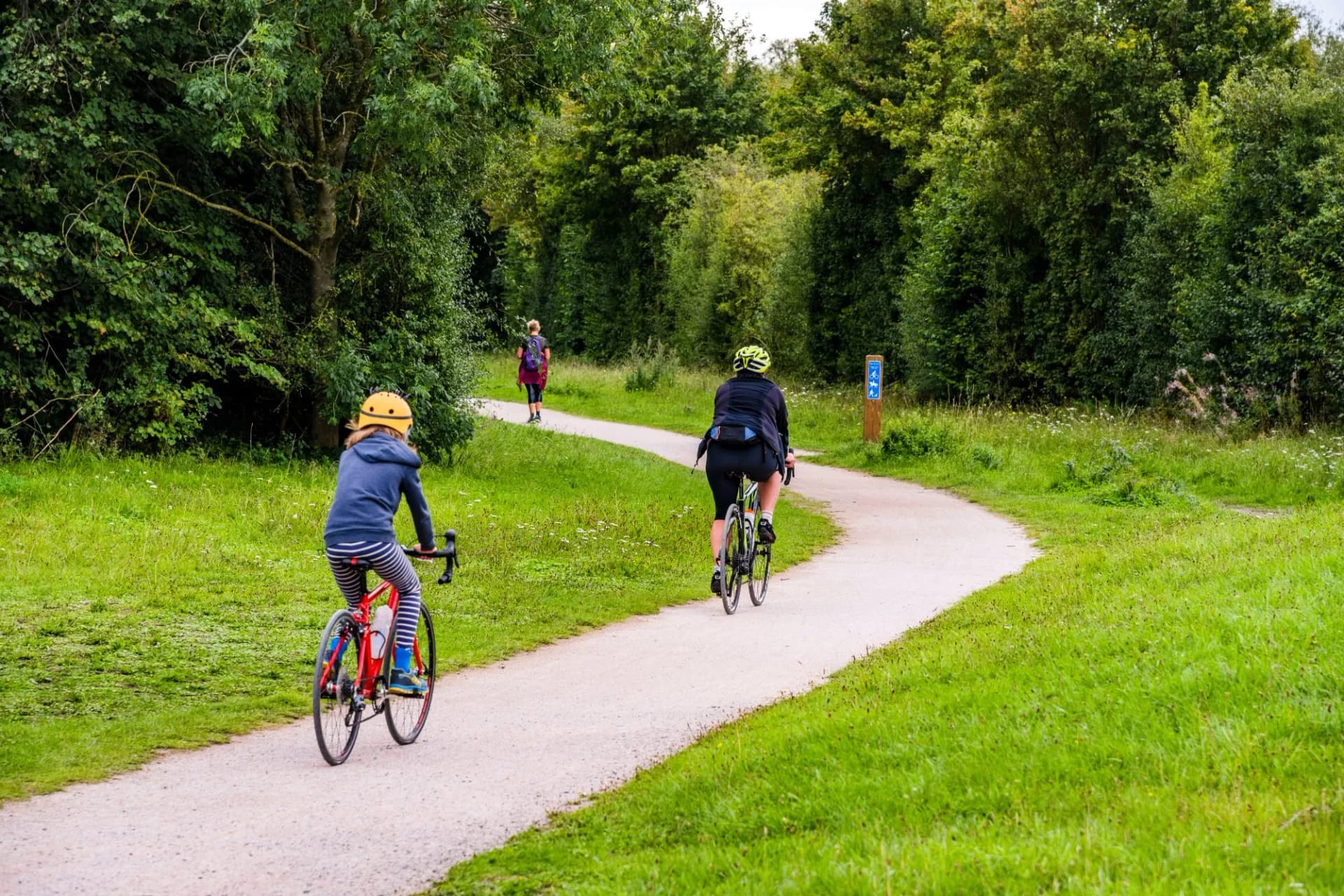 Cyclists riding on a winding gravel path through lush green woods and fields.
