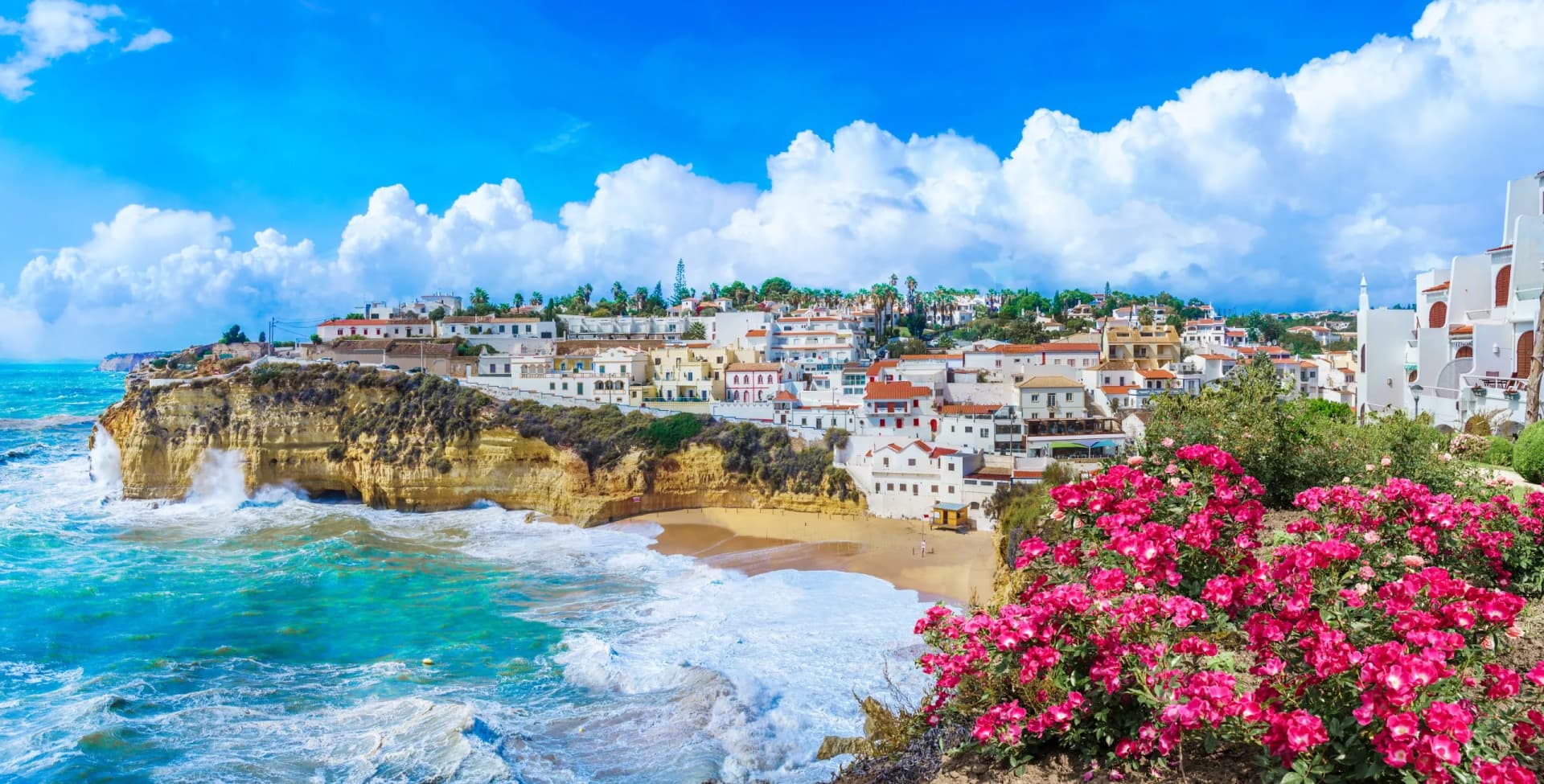 Elevate your adventure along the scenic shores