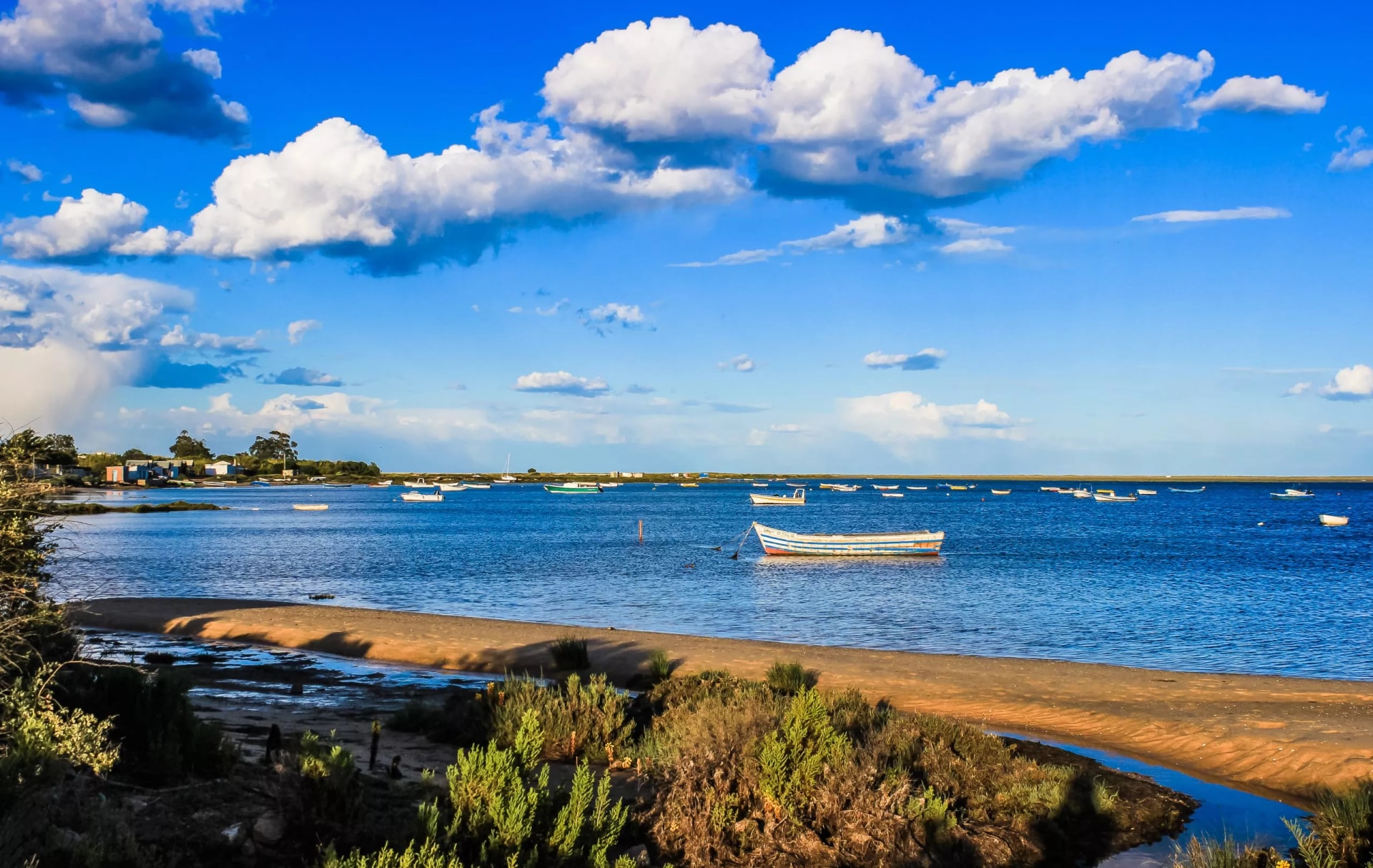 Natural Park Ria Formosa - Nature Reserve in Algarve - Portugal