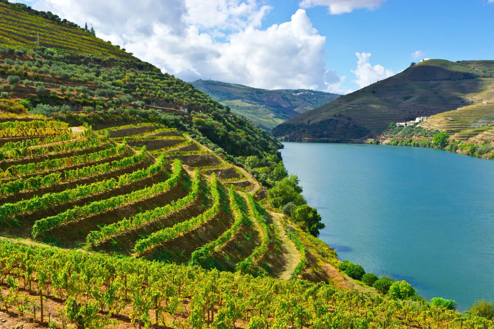 Douro Valley Bike Tour