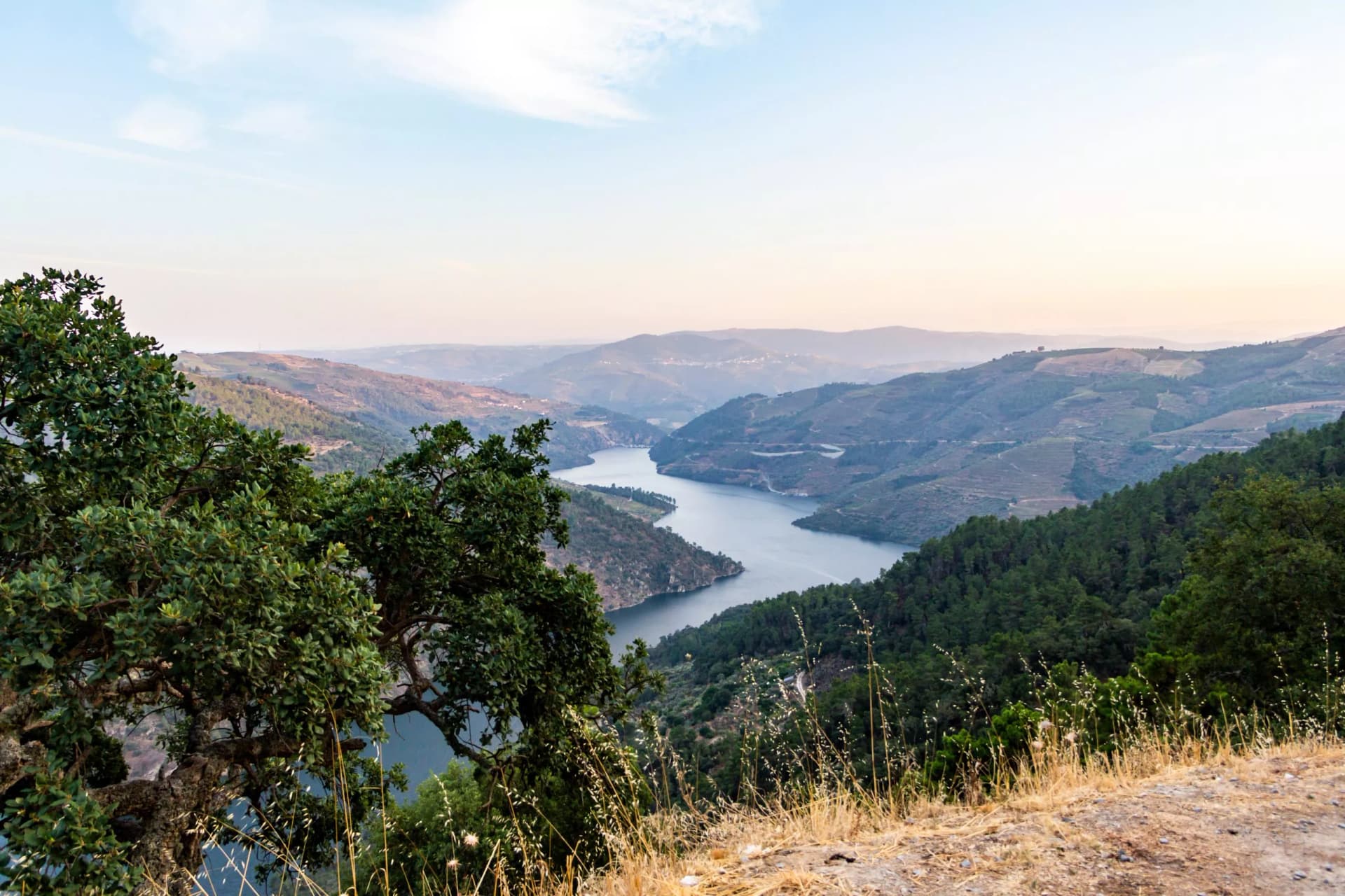 landscape with river and mountains