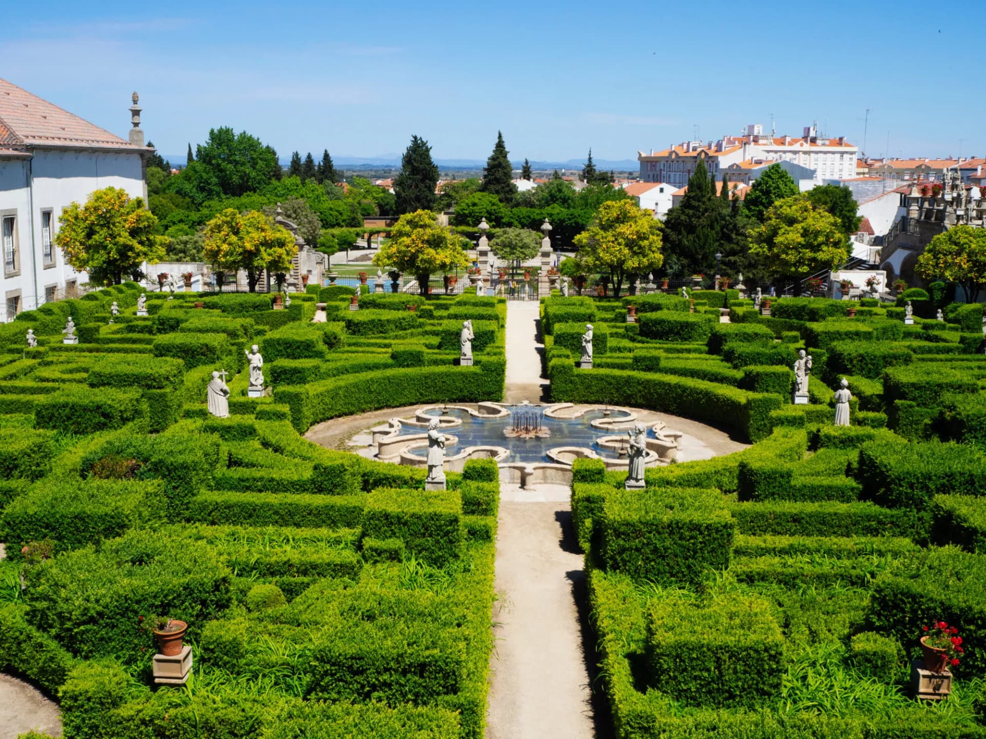 Botanical garden of the university of coimbra