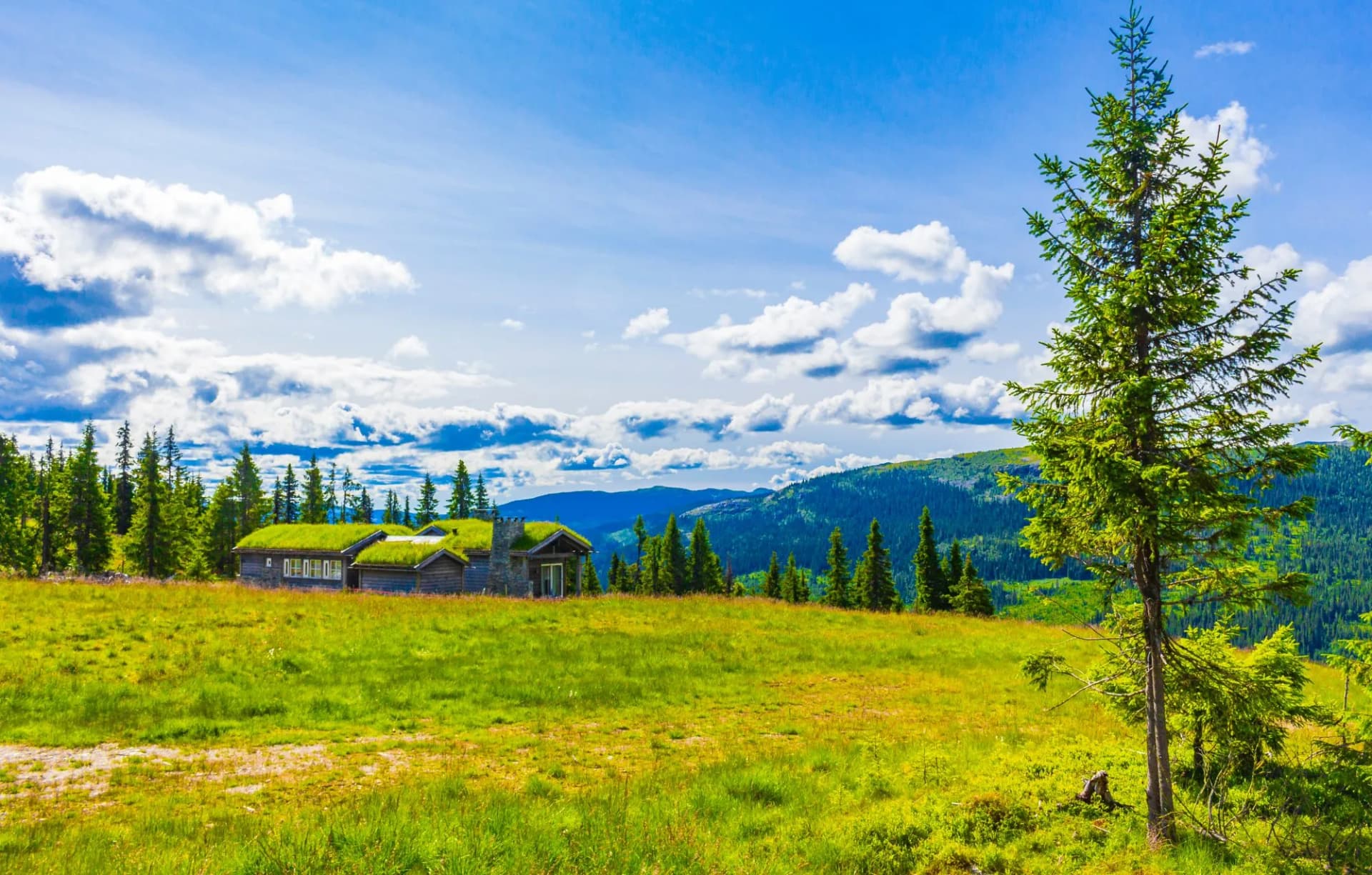 Kvitfjell traditional houses