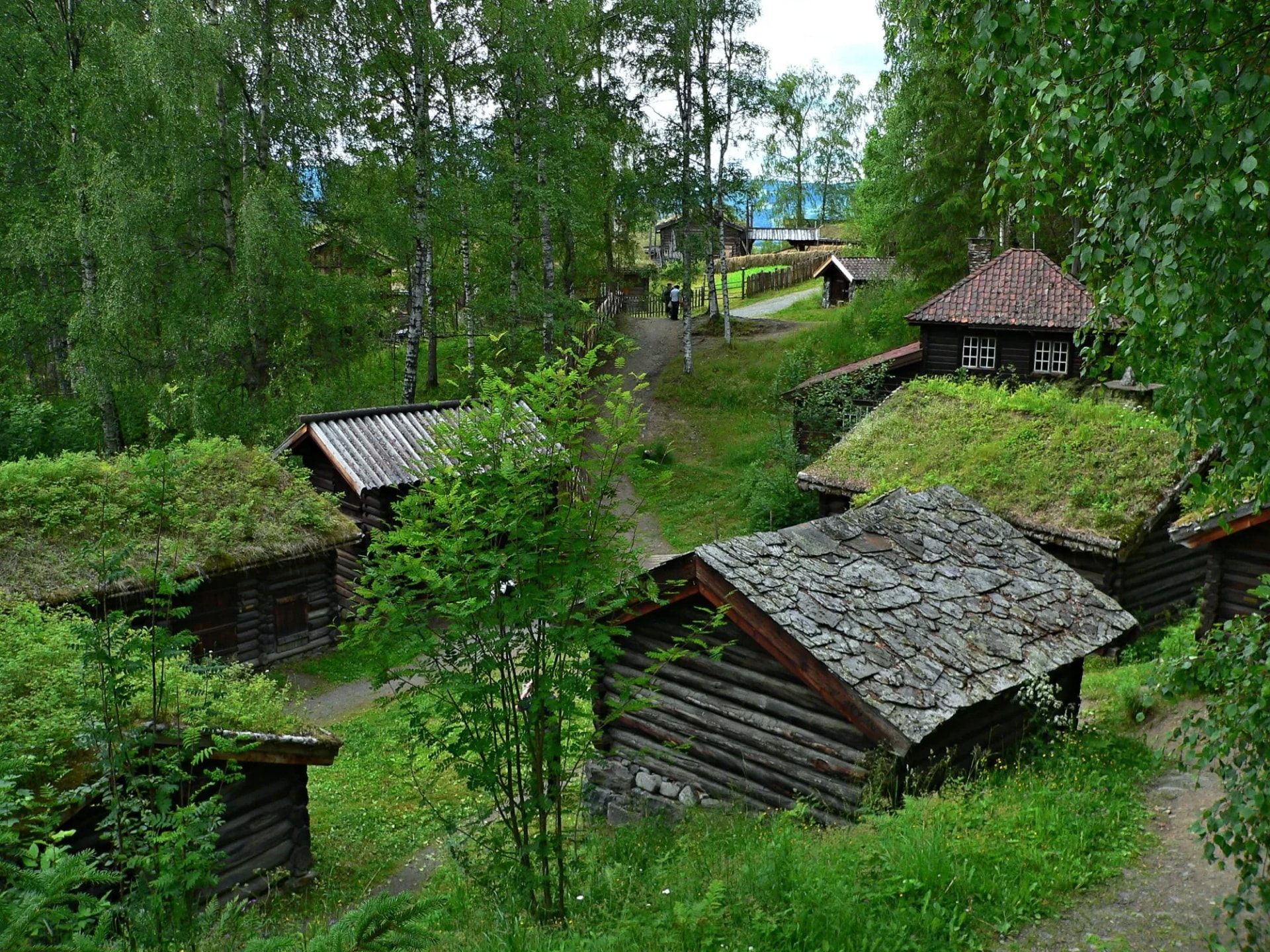 Log buildings with turf and slate roofs nestled in lush green forest at Maihaugen, Lillehammer.