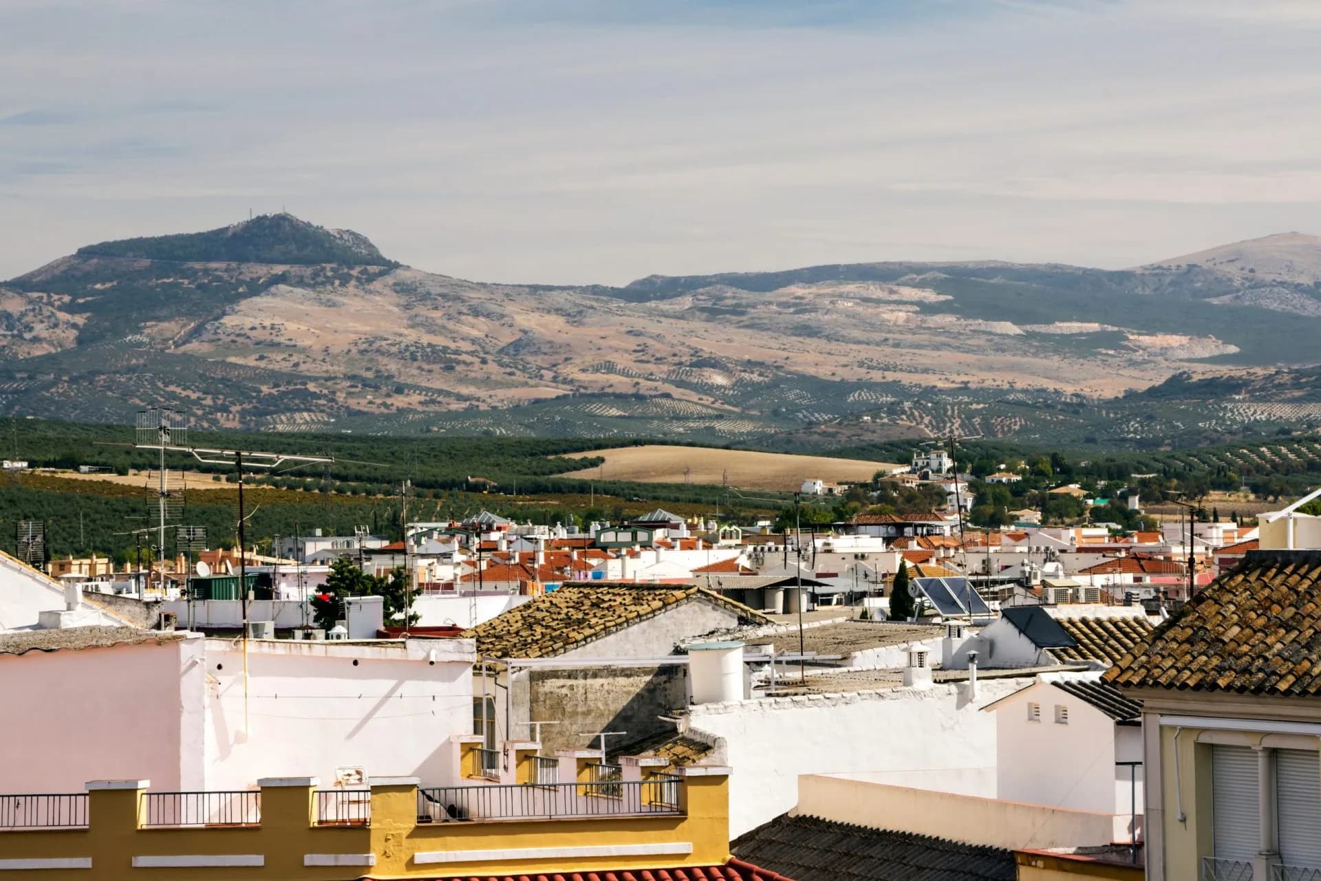 Lucena is a city and a Spanish municipality of the province of Córdoba, Andalusia. It is located at an altitude of 487 meters and 67 kilometers from the provincial capital, Córdoba, Spain.