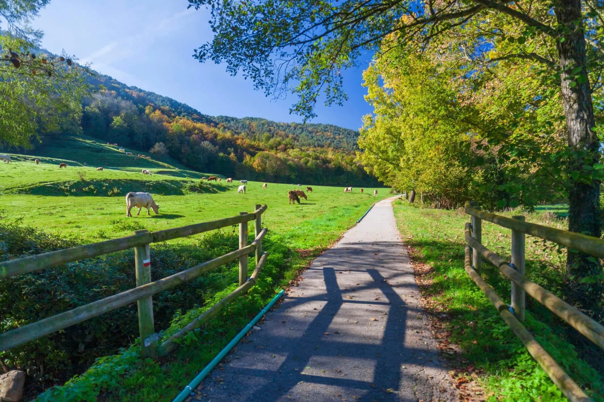 Ruta del Ferro, Iron and Coal Route, Old railway transformed in trail walk or bike ride. Villages of Sant Joan de les Abadesses and Ripoll, in Ripolles area, Catalonia, Spain.