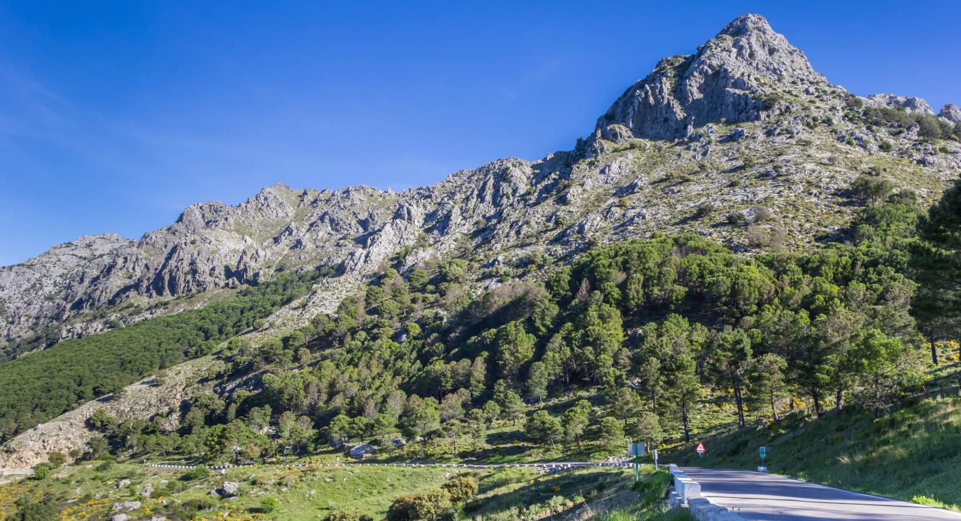 Road winding through Grazalema National Park with rocky mountains and green forest.