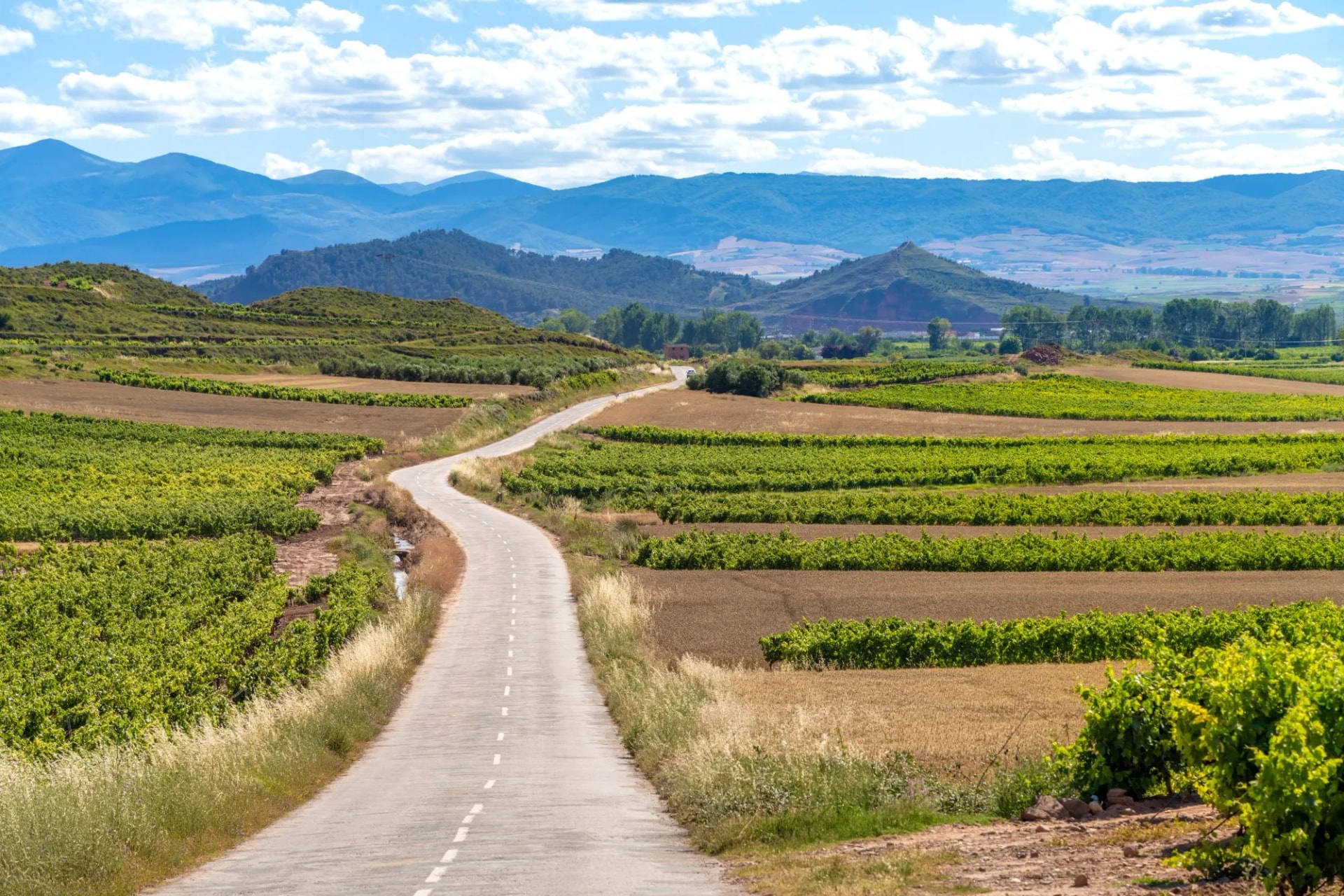 The Ultimate Wine Tour of Rioja