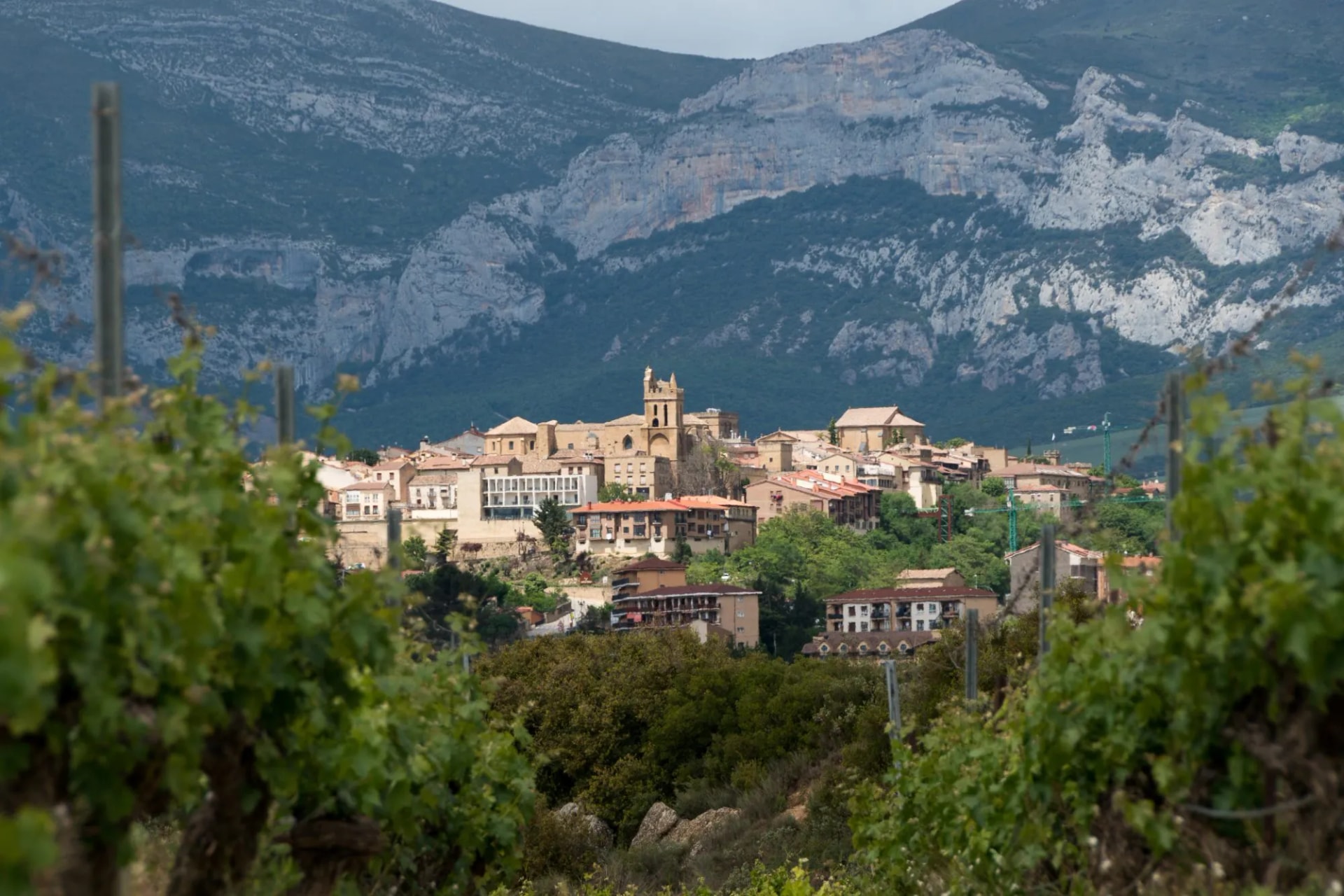 Laguardia, Rioja