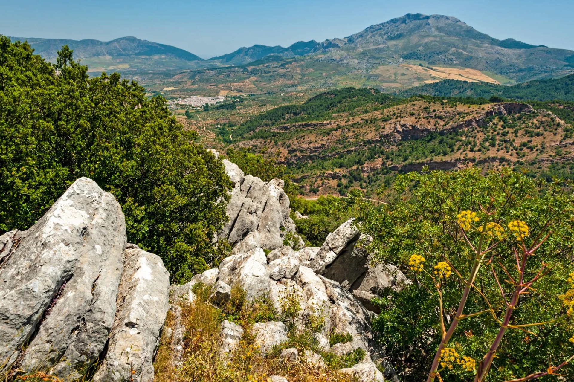 Rocky outcrop with yellow flowers overlooking rolling hills and mountains in Sierra de las Nieves.