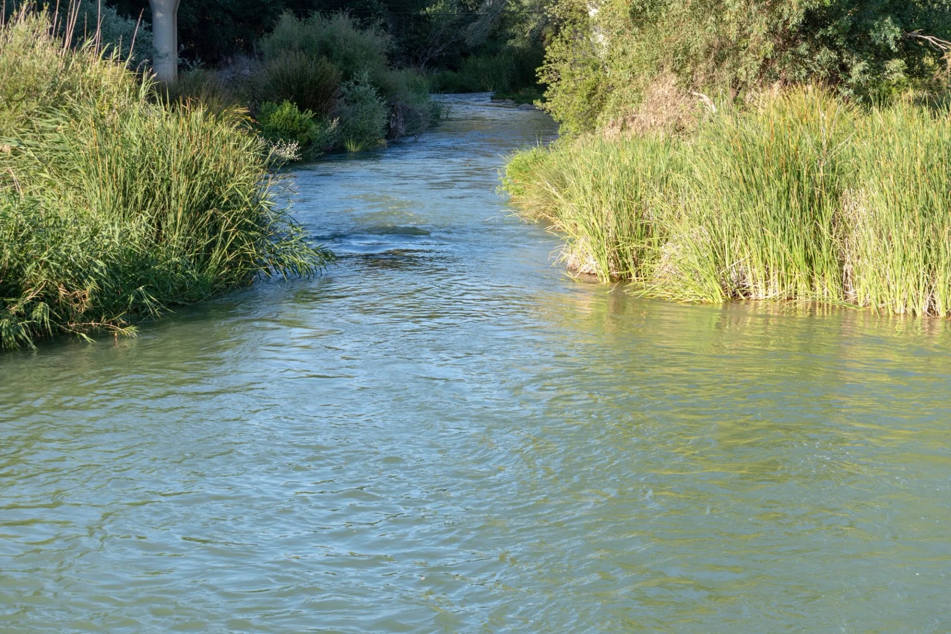Río Guadalete