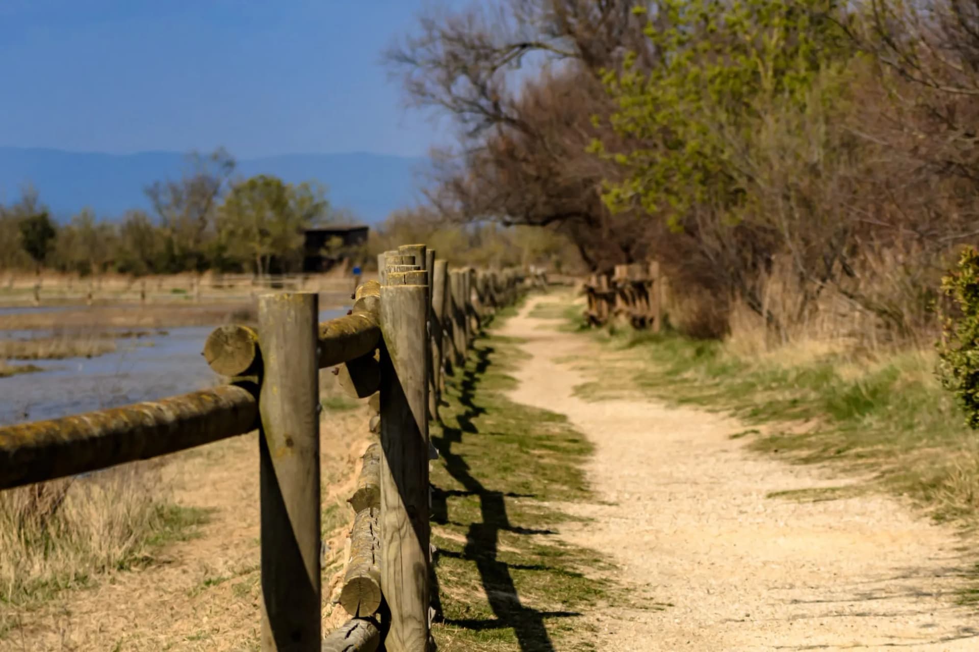 Aiguamolls de l'Empordà Nature Reserve