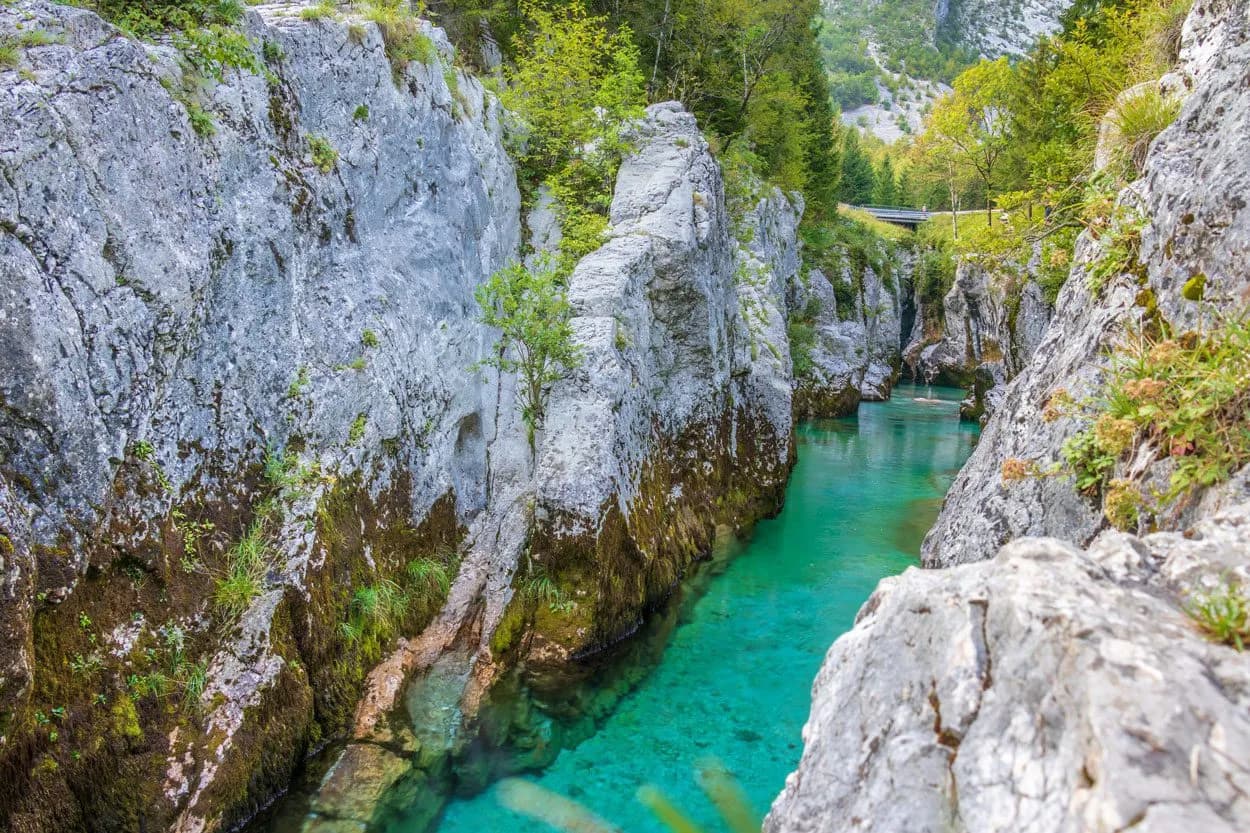 Turquoise river flowing through a steep gorge with mossy limestone cliffs and green trees.