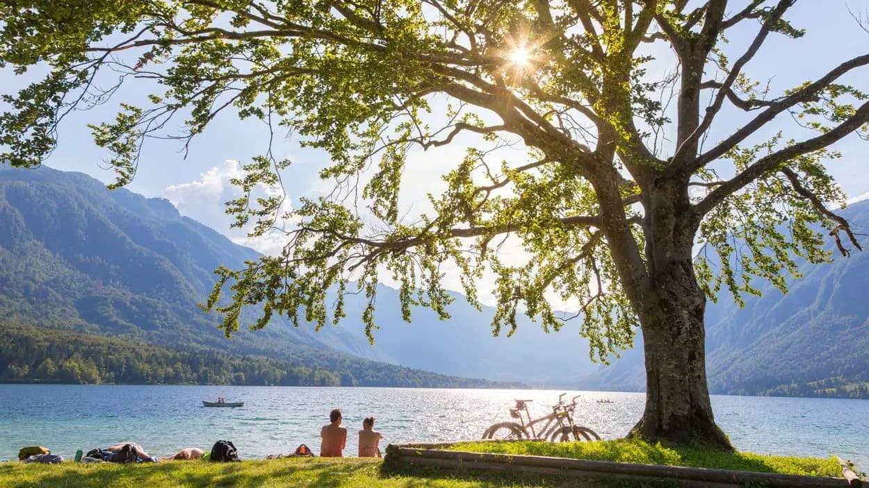 Enjoying the day on Bohinj lake beach under a large tree with mountains in background.