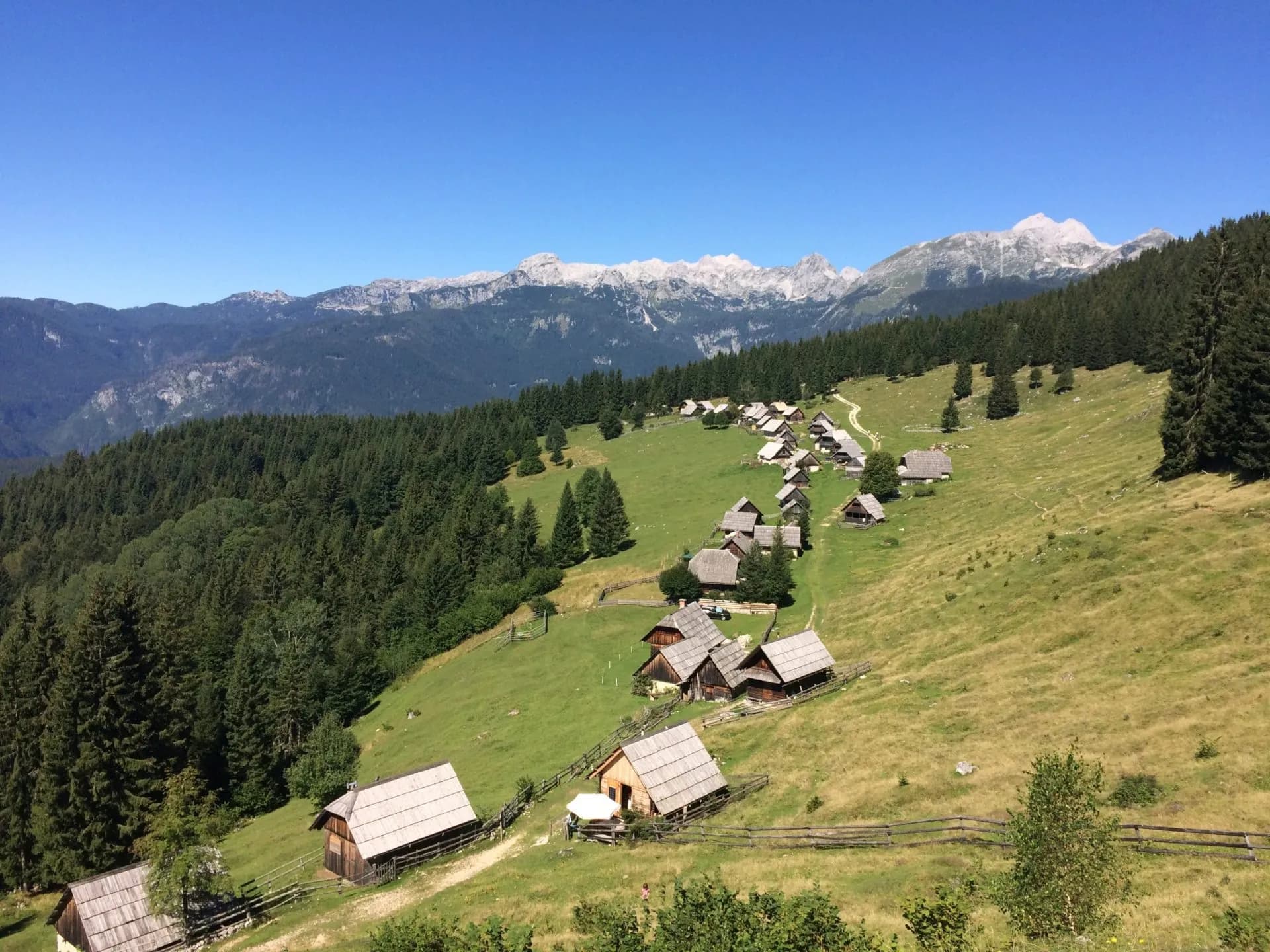 mountain pastures of zajamniki above lake bohinj
