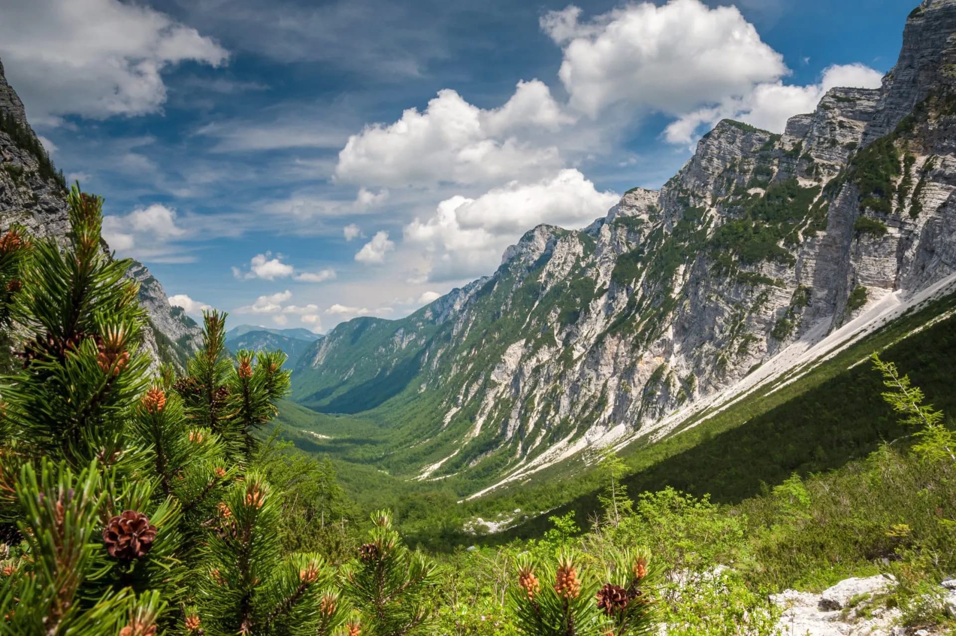 view at radovna valley from krma slovenia stockpack adobe stock scaled