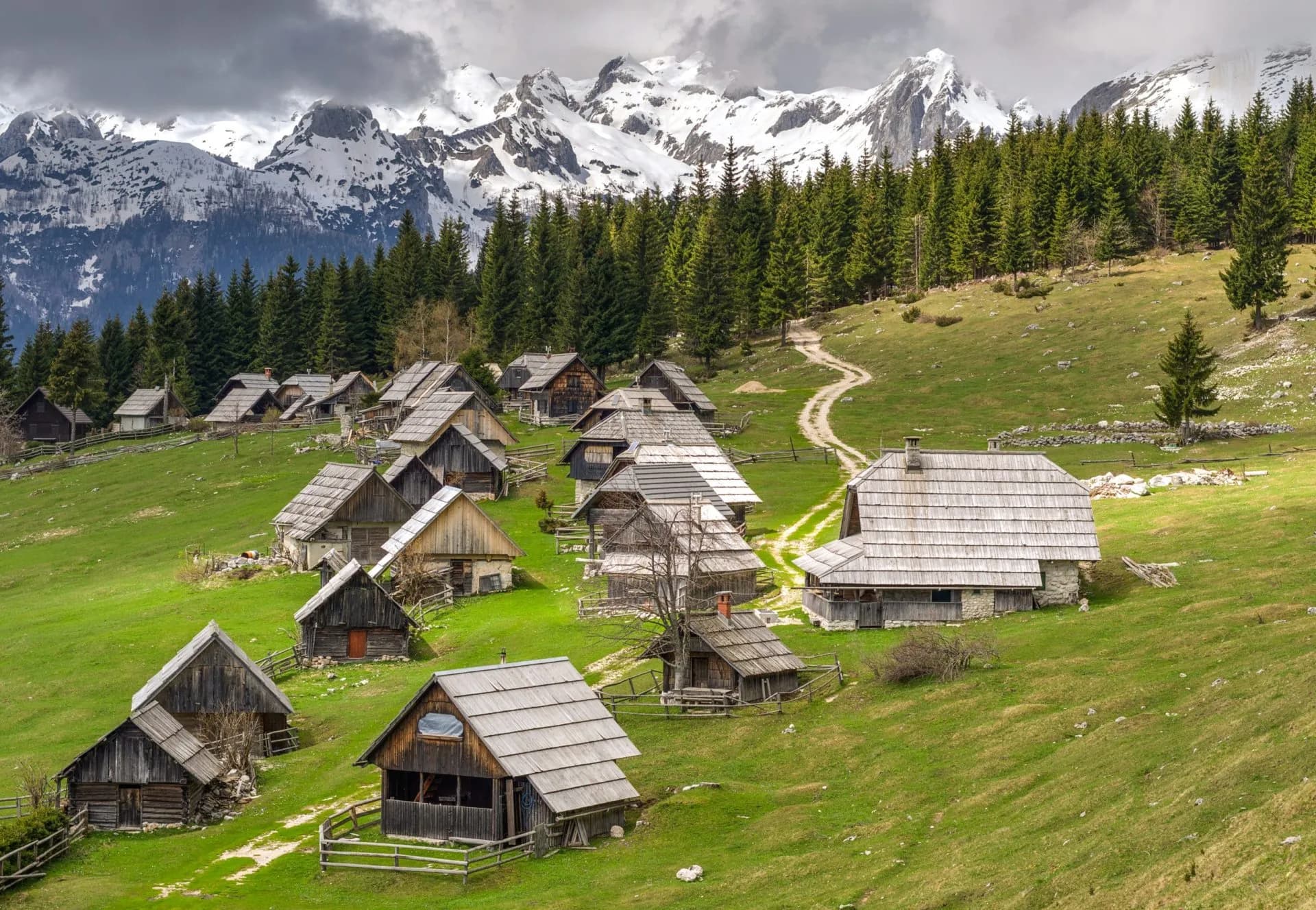 zajamniki alpine meadow in pokljuka stockpack adobe stock scaled