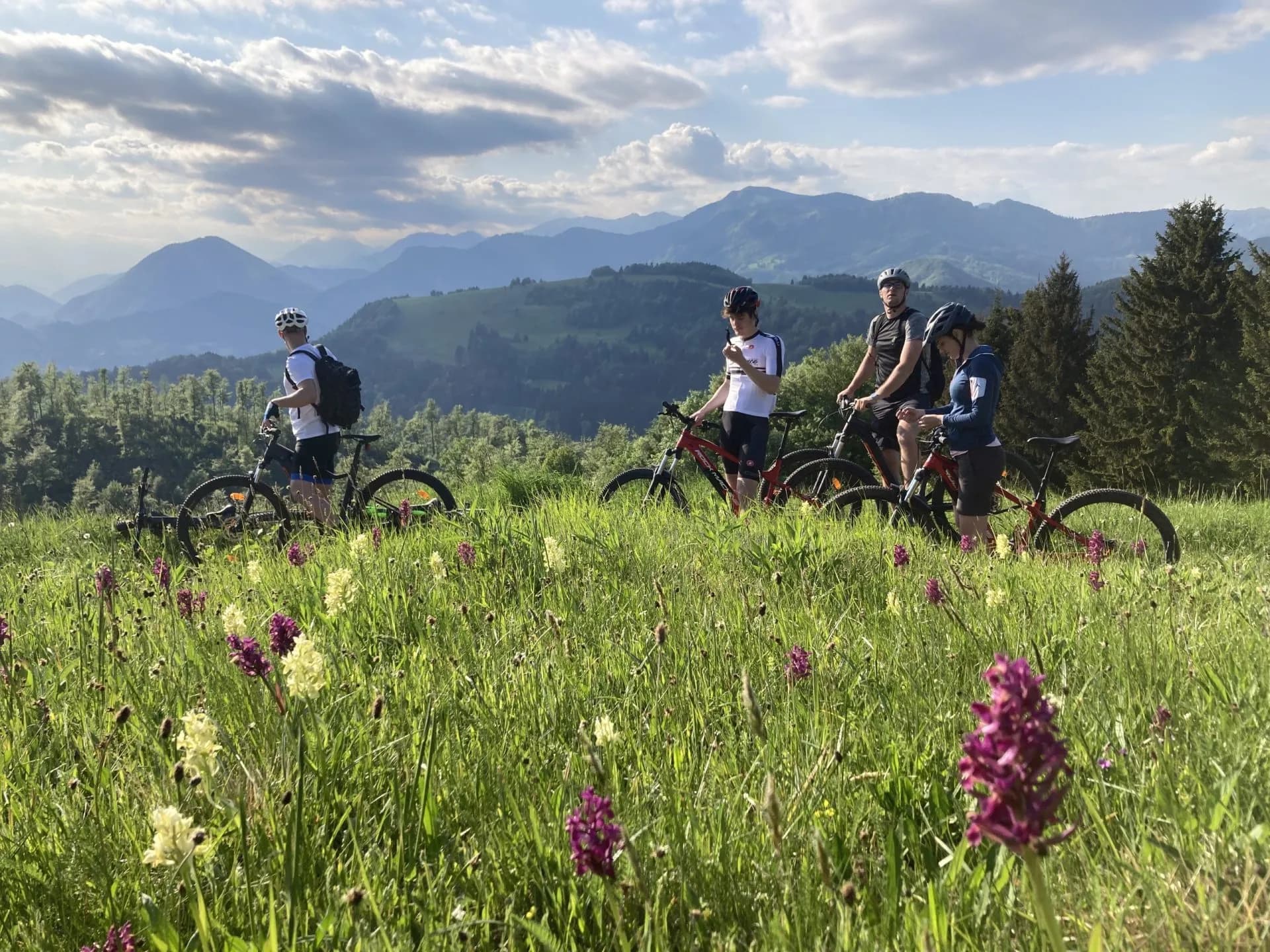 endless views and green fields of škofja loka hills