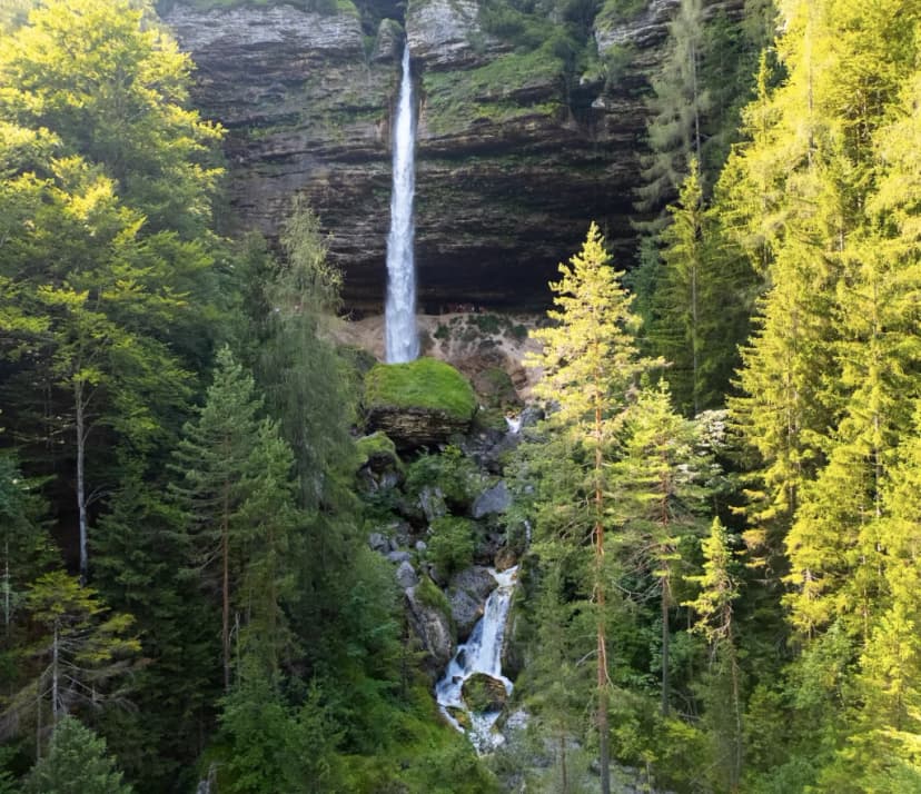 Tall waterfall cascading down a rocky cliff surrounded by dense green forest and pine trees.