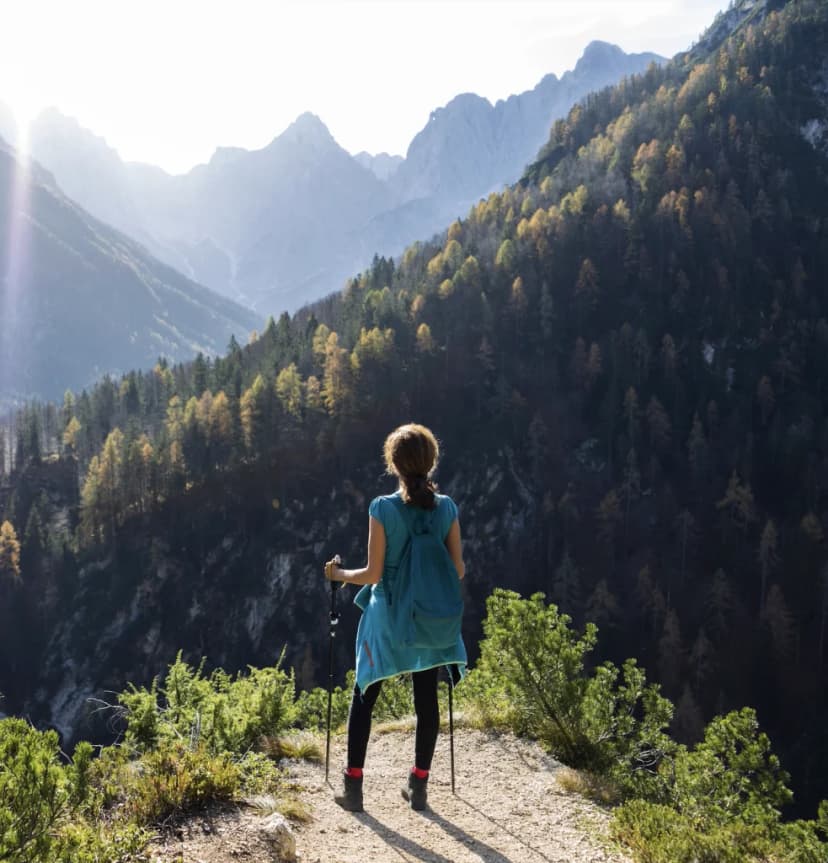 Hiker with trekking poles overlooking sunlit autumn forest and dramatic mountain range