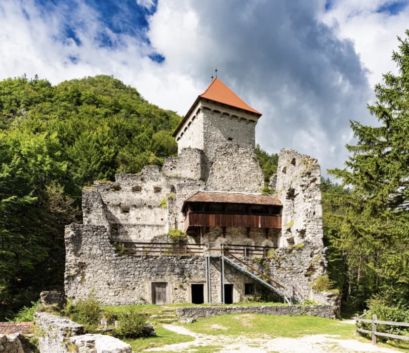 Stone castle ruins with red-roofed tower surrounded by dense green forest under a cloudy sky.
