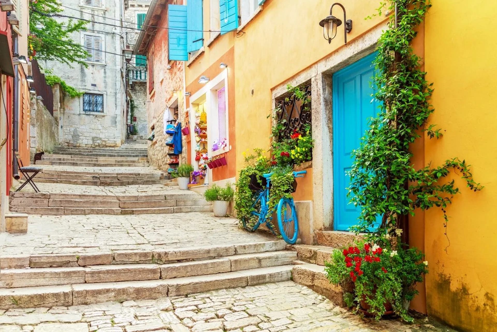 Cobblestone street steps in Rovinj with colorful buildings, a blue bicycle, and climbing vines.