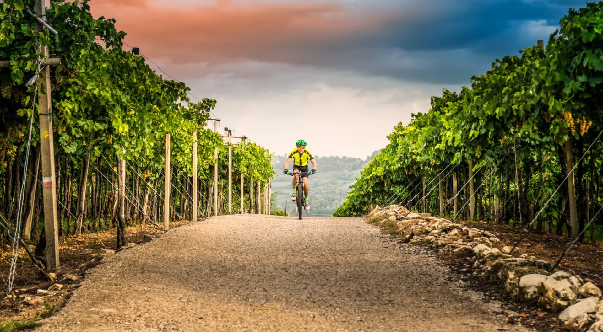 Lake Garda to Venice Cycling Tour