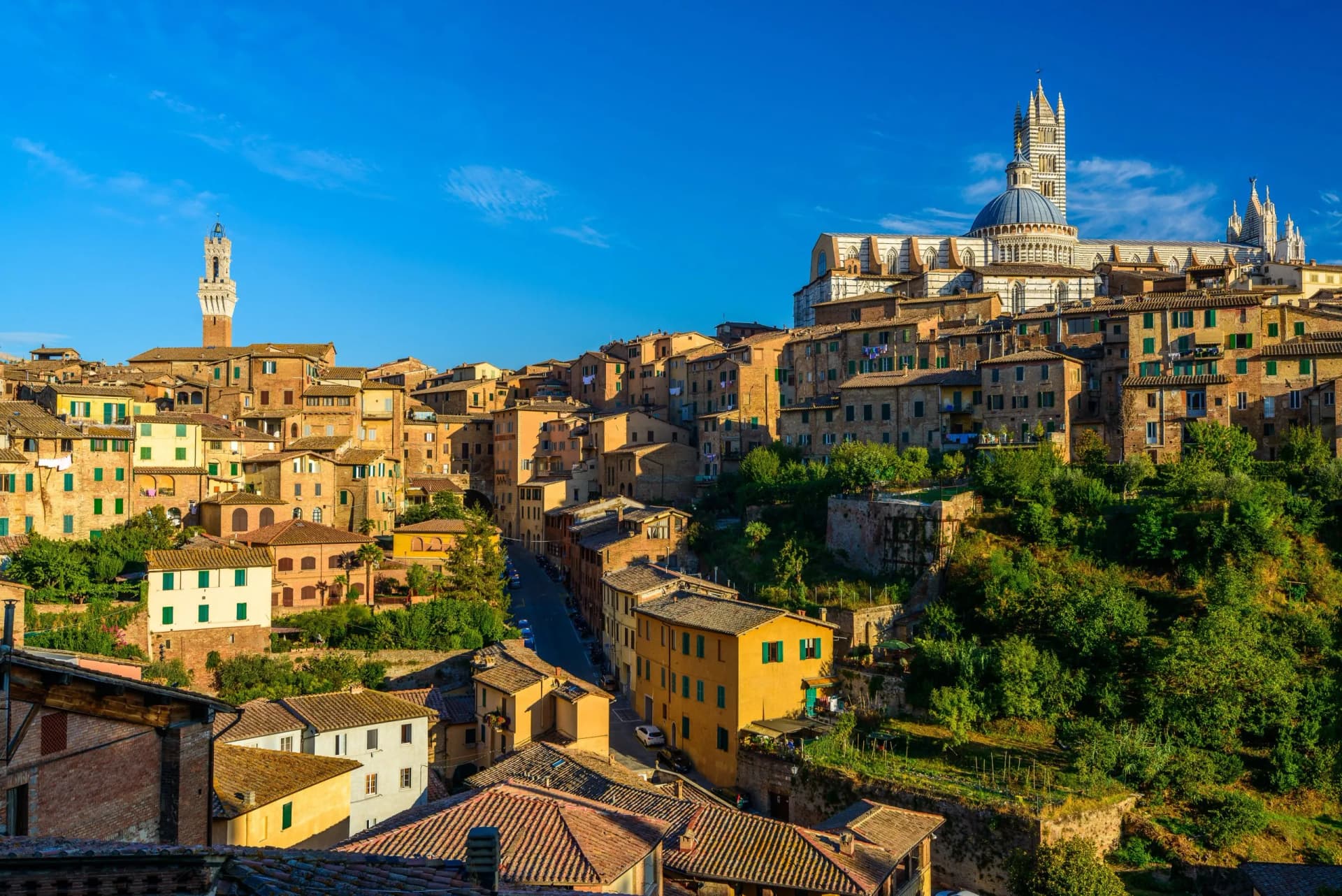 Historic buildings in Siena climbing a hill under a bright blue sky, featuring the Duomo and Torre del Mangia.