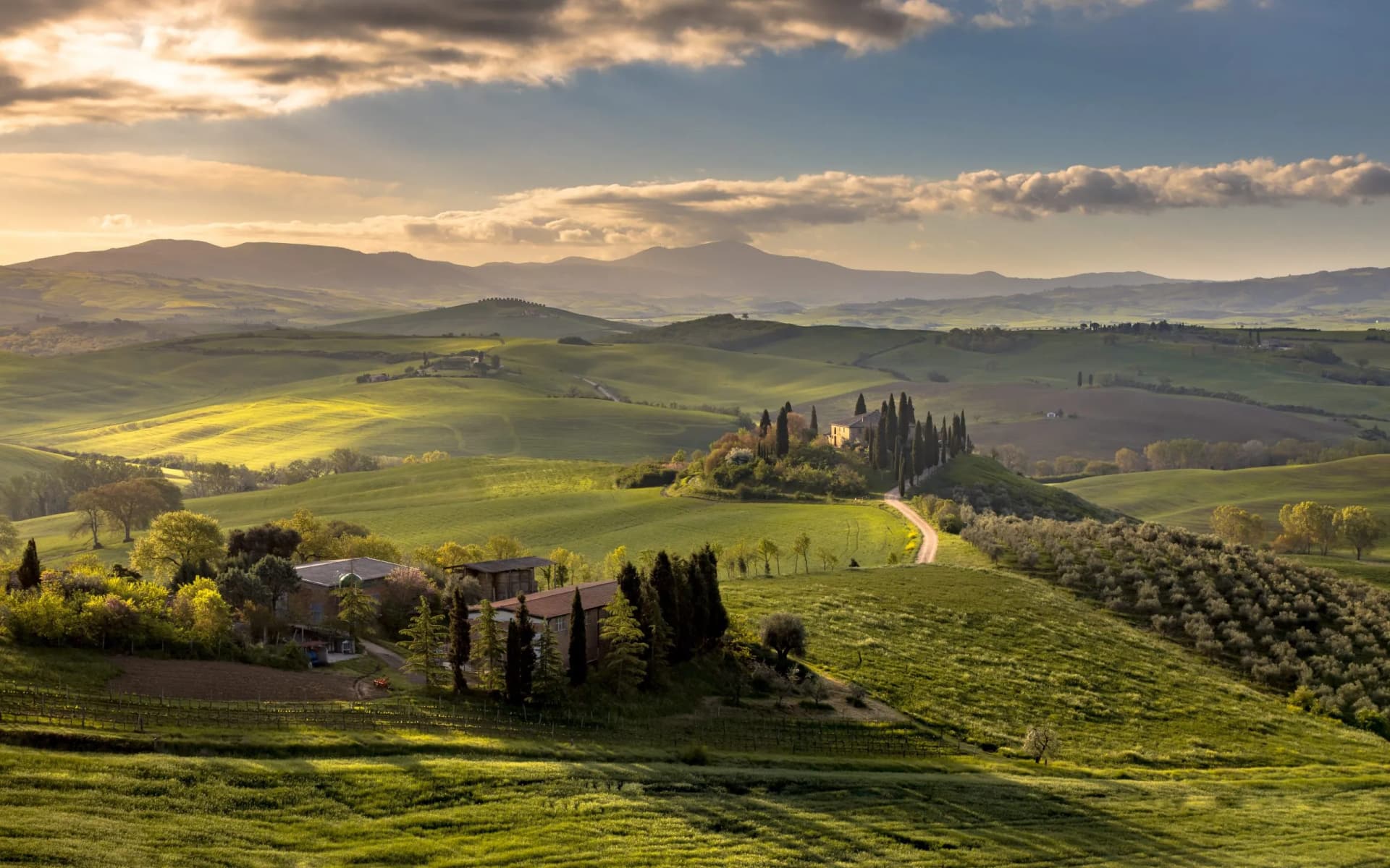 Rolling green hills of Tuscany with cypress trees, farmhouses, and mountains at sunset.