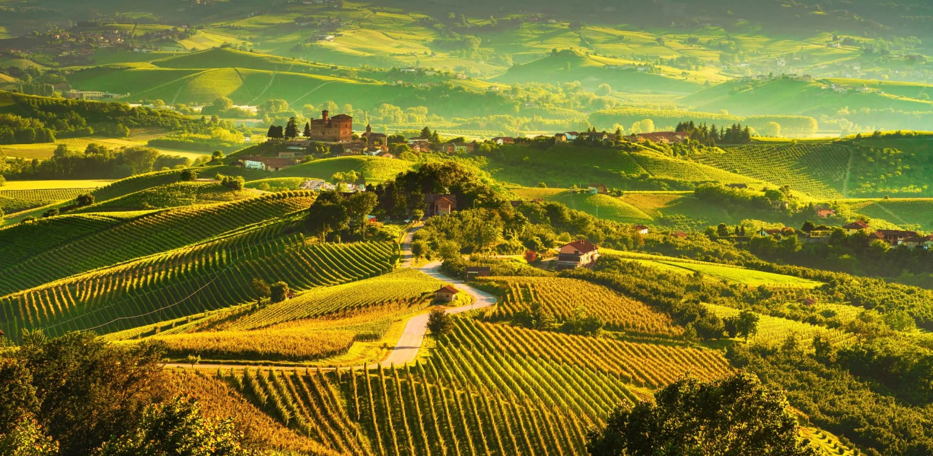 Rolling hills covered in sunlit vineyards and scattered houses in a European wine region.
