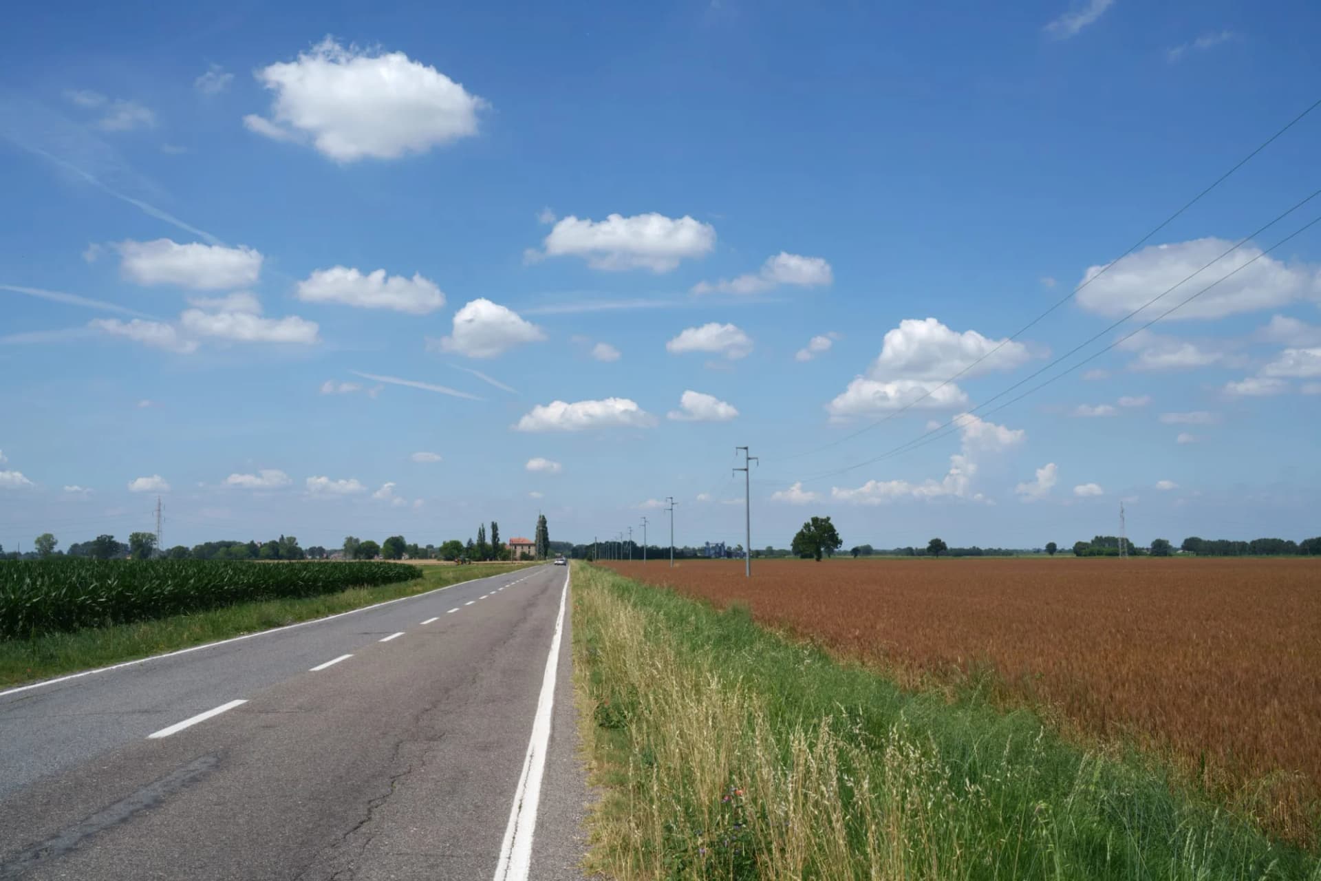 Roadside view of cultivated fields near Voghera, Italy, under a blue sky with white clouds.