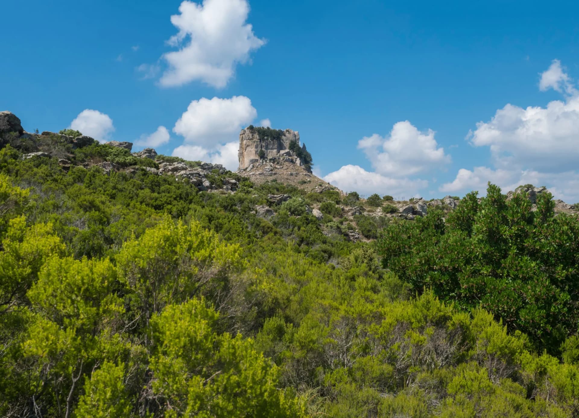 Rocky outcrop with dense green scrubland under a bright blue sky with white clouds.