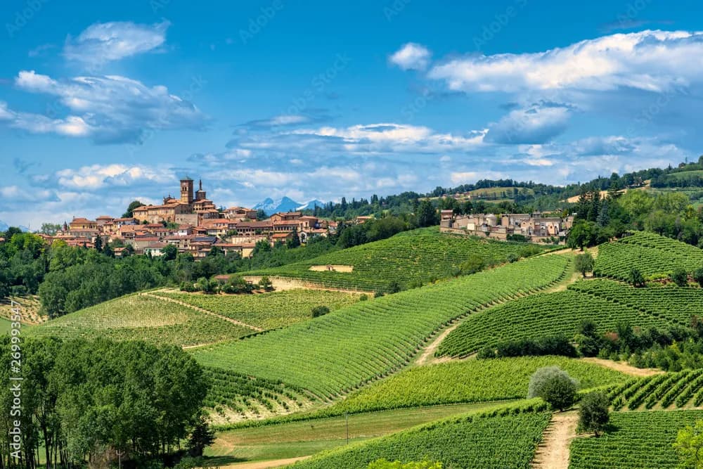 Vineyard landscape with rolling green hills and historic town under a blue, cloudy sky in Monferrato.