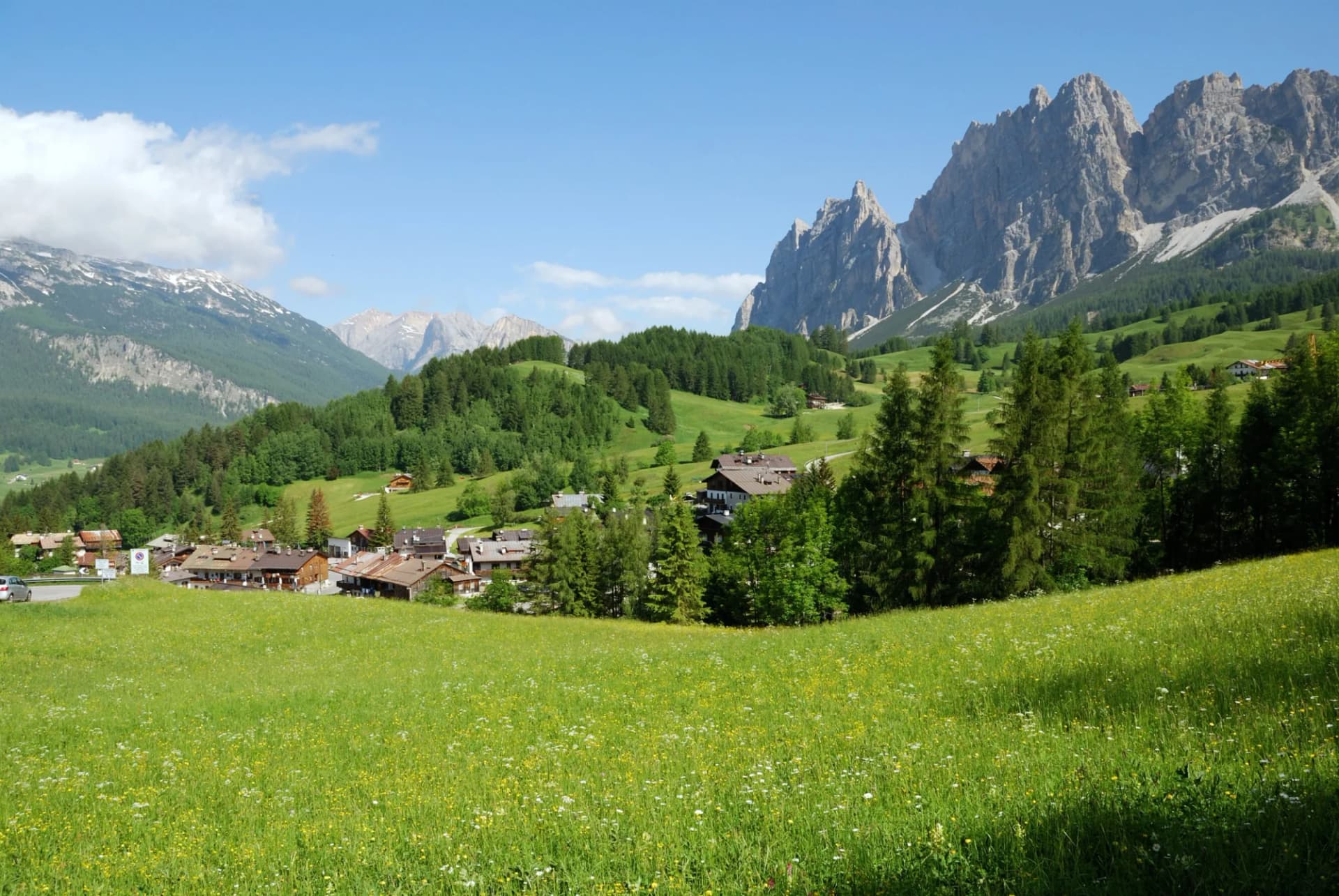 Green meadow with wildflowers below jagged Dolomite mountains and alpine village.