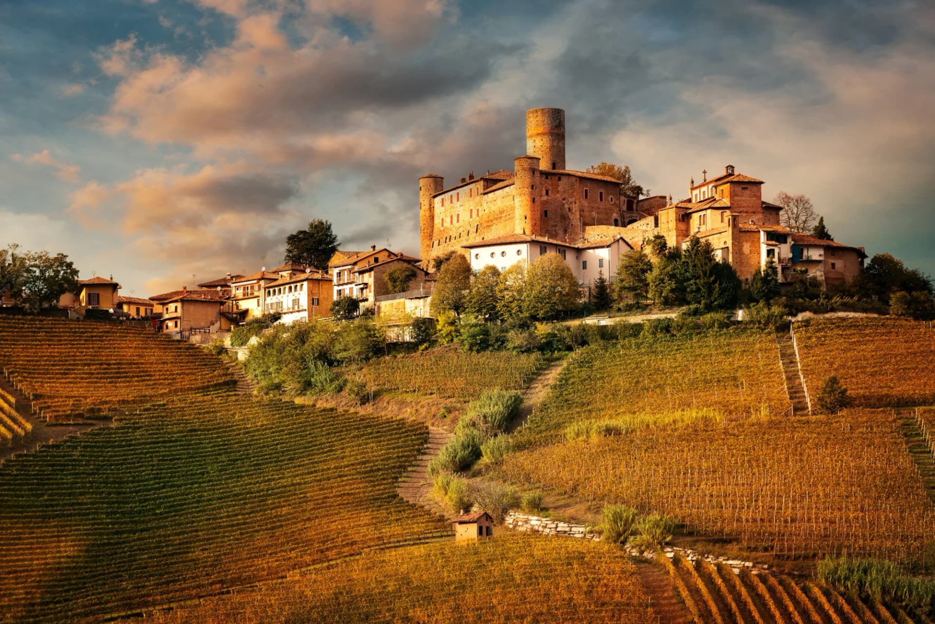Castiglione Faletto village and castle above autumn vineyards in Barolo wine region, Piedmont, Italy.