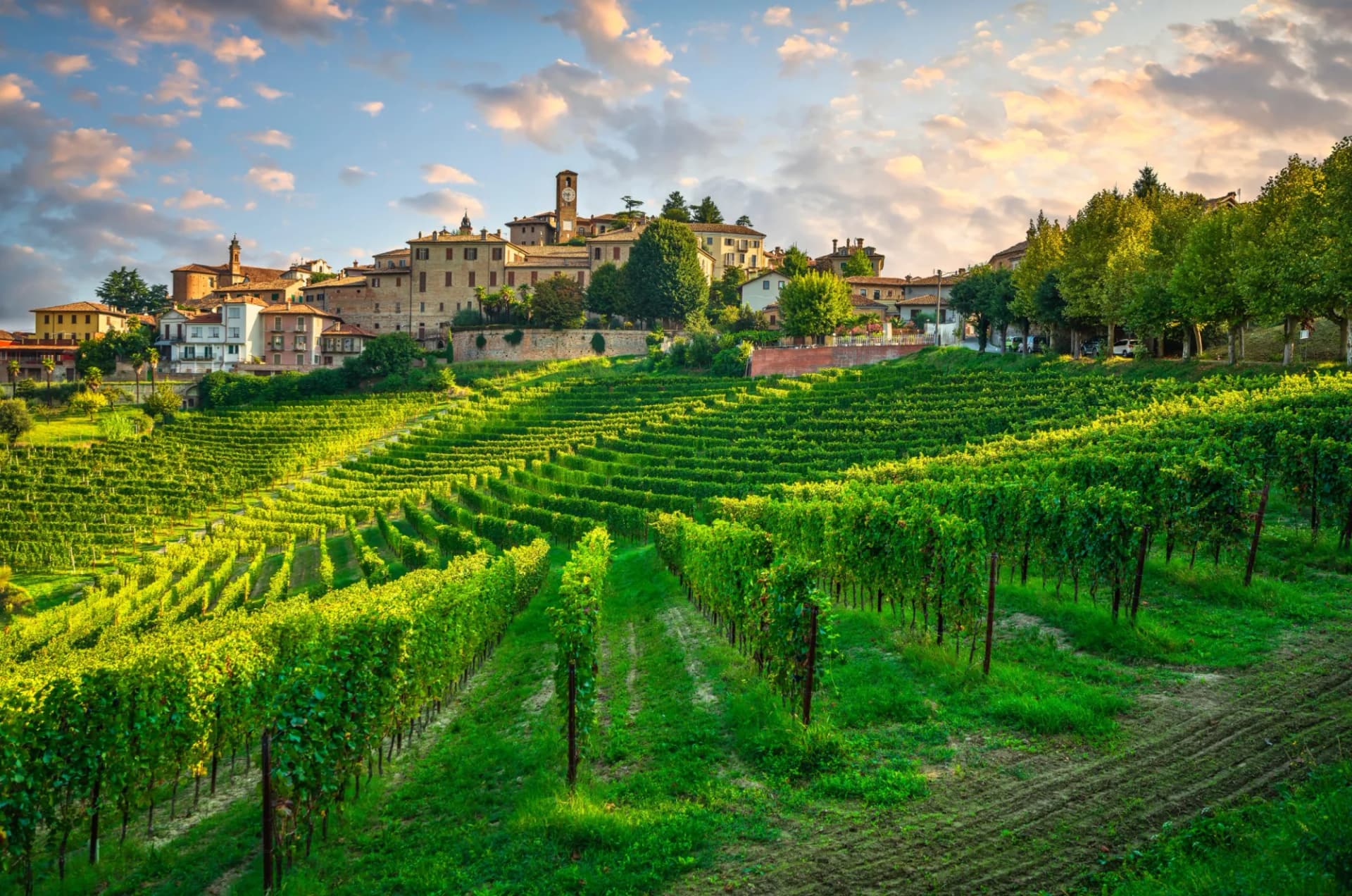 Vineyards leading up to a historic village in Neive, Langhe, Piedmont, Italy at sunset.
