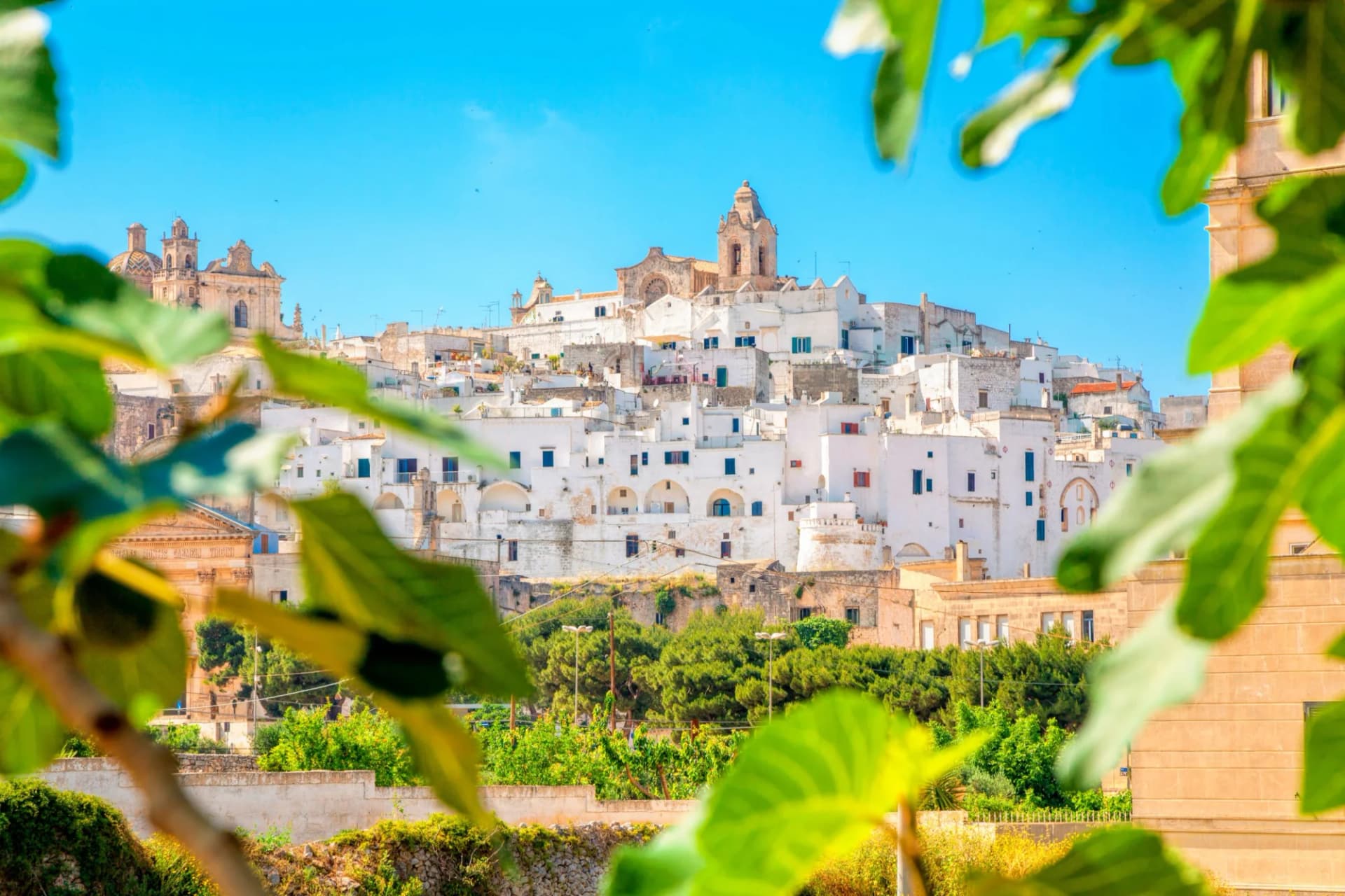 White town of Ostuni, Puglia, Italy, seen through bright green foliage under a clear blue sky.