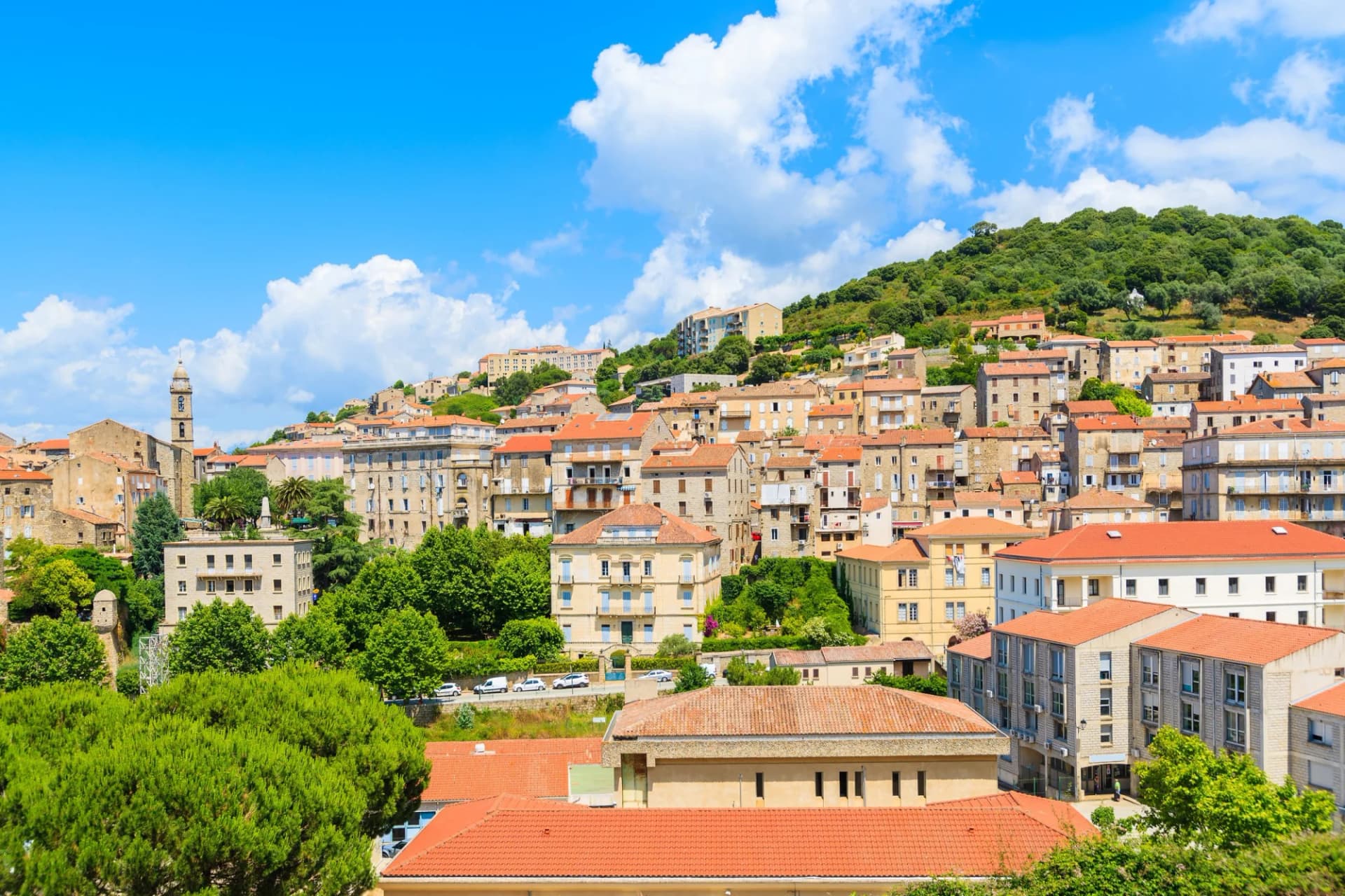 Colorful houses in Sartene village built in traditional Corsican style on a green mountain.