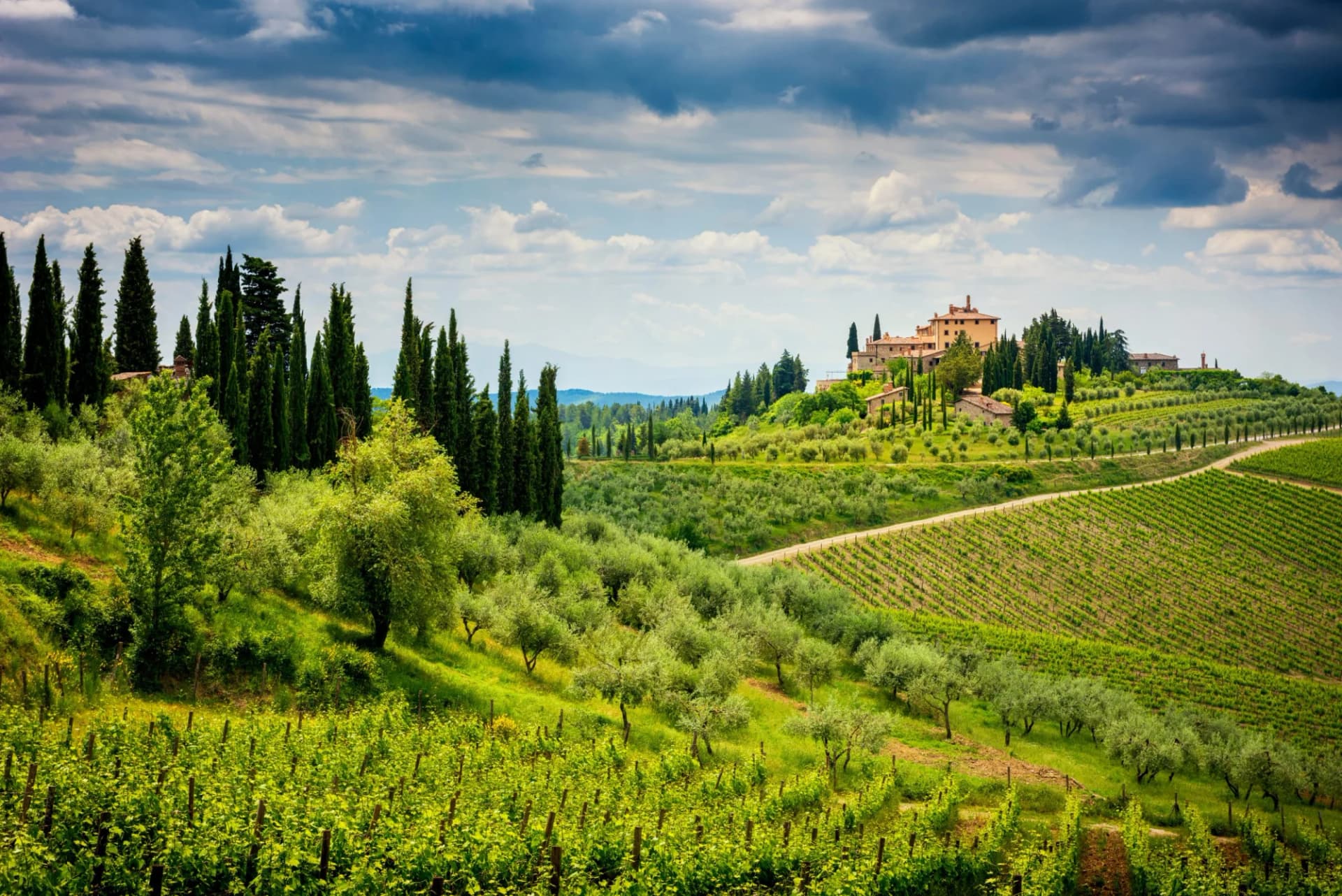 Vineyards and olive groves on rolling hills leading to a villa under a dramatic sky