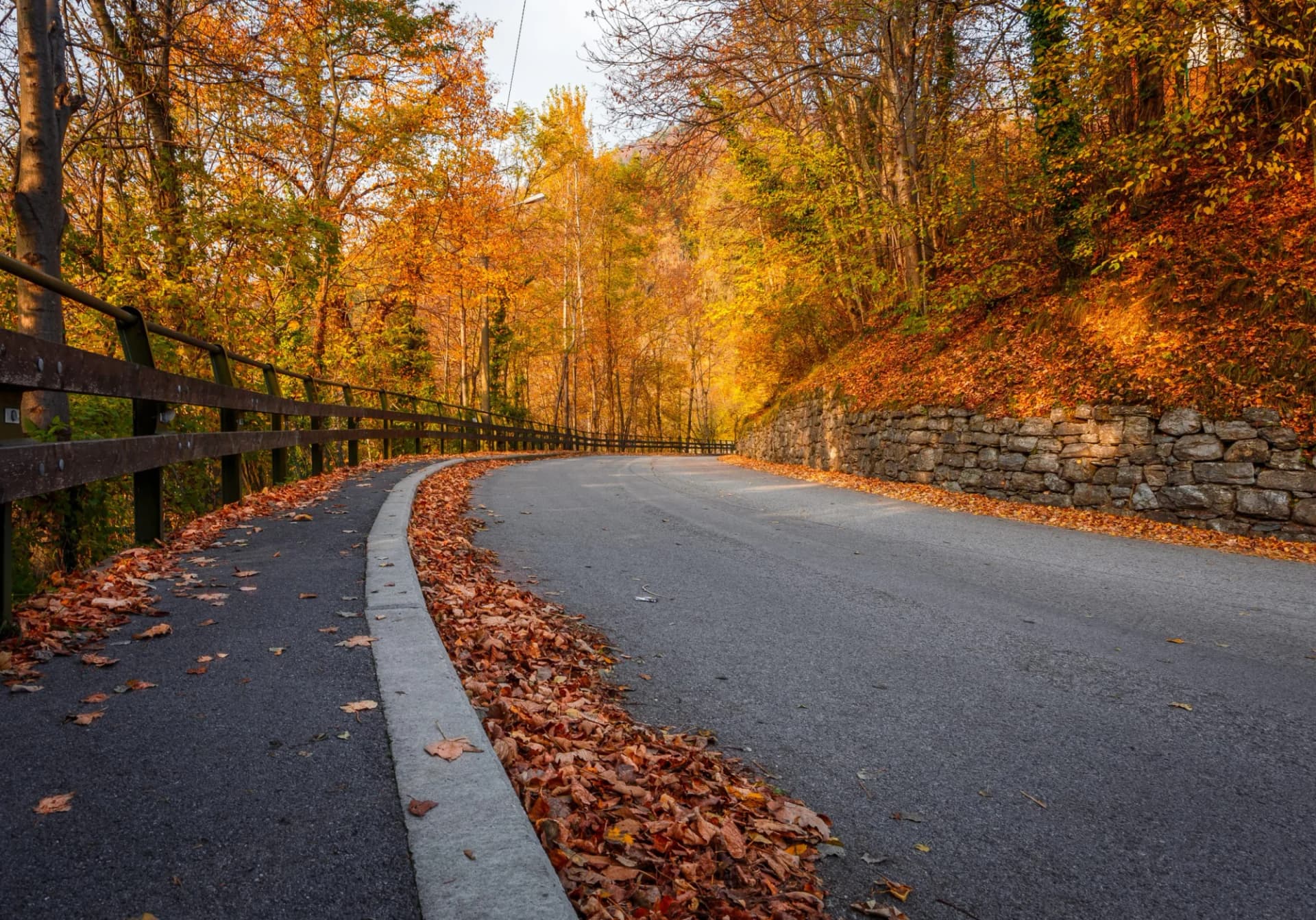 Winding road bordered by autumn trees and fallen orange leaves near Sormano.