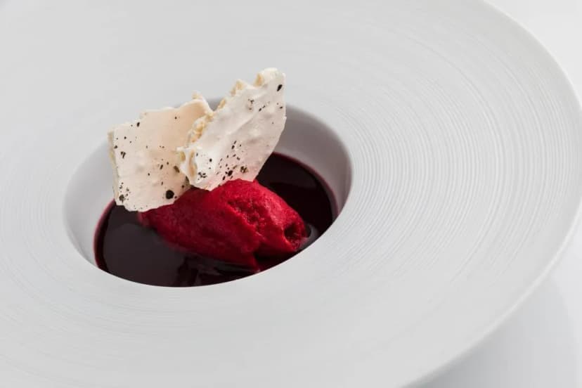 Red sorbet with dark sauce and meringue shards on a wide white plate