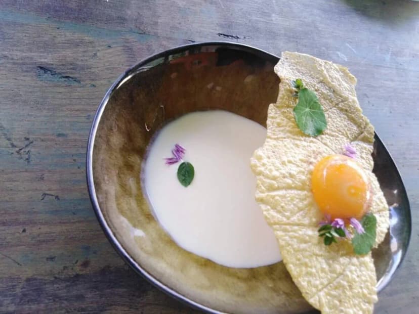 Gourmet soup with raw egg yolk on crisp bread, garnished with edible flowers on a wooden table.