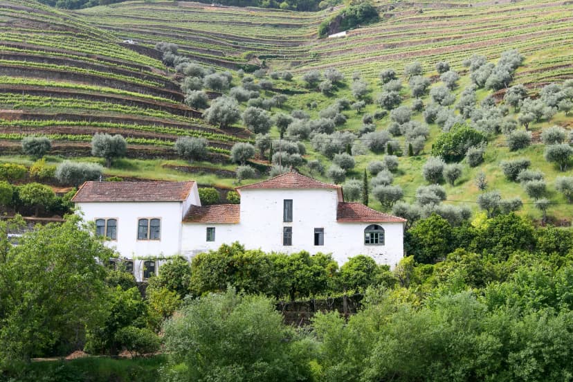 A winery in Douro Valley, Portugal, as seen from the Douro river.